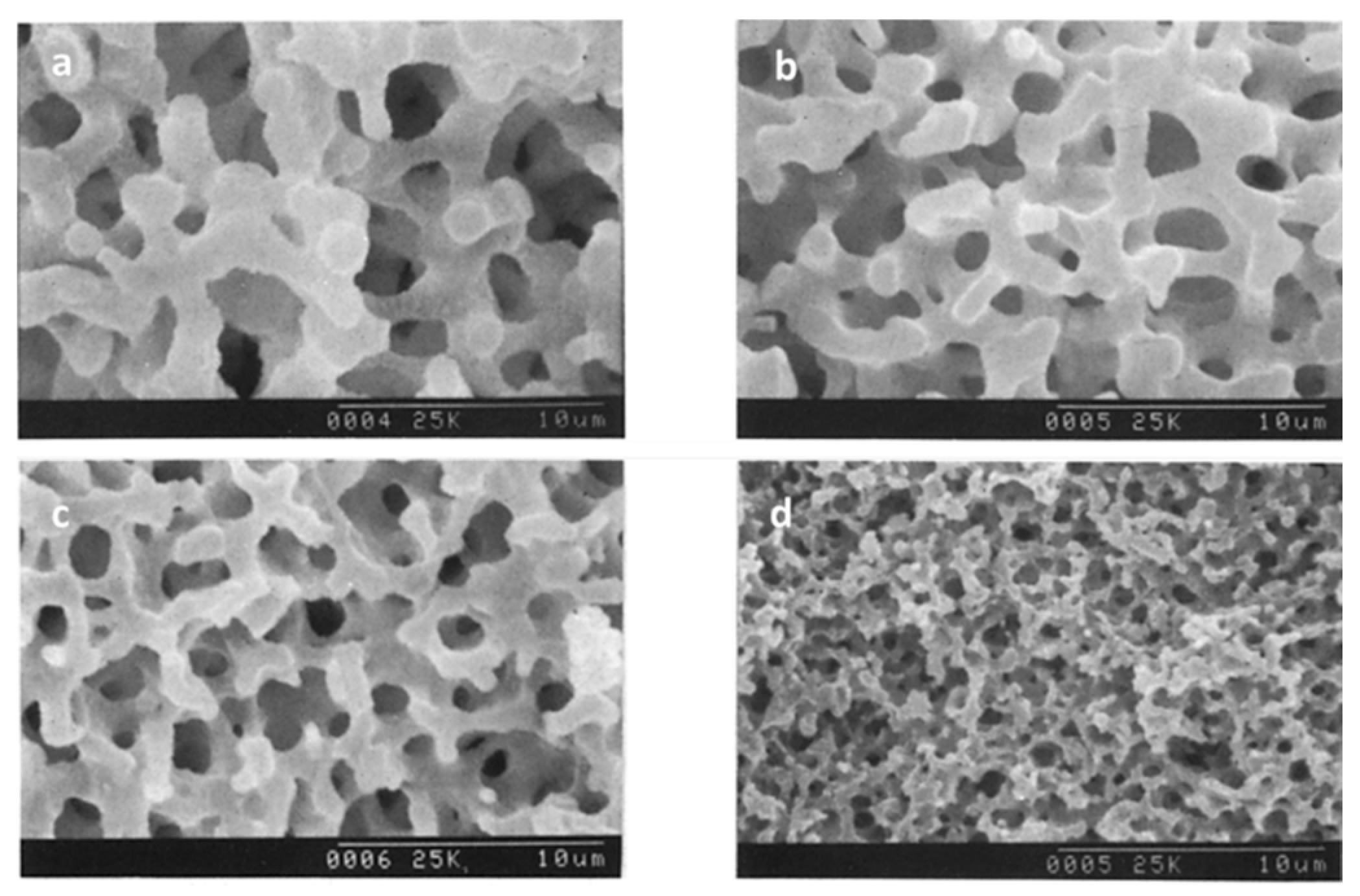 Materials 14 04247 g007