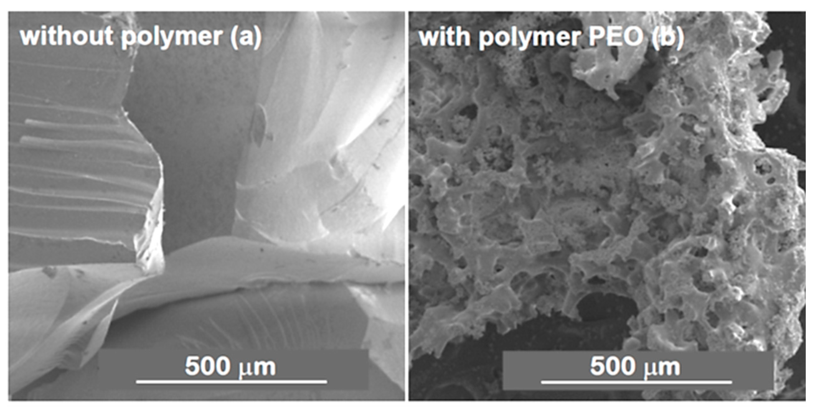 Materials 14 04247 g010