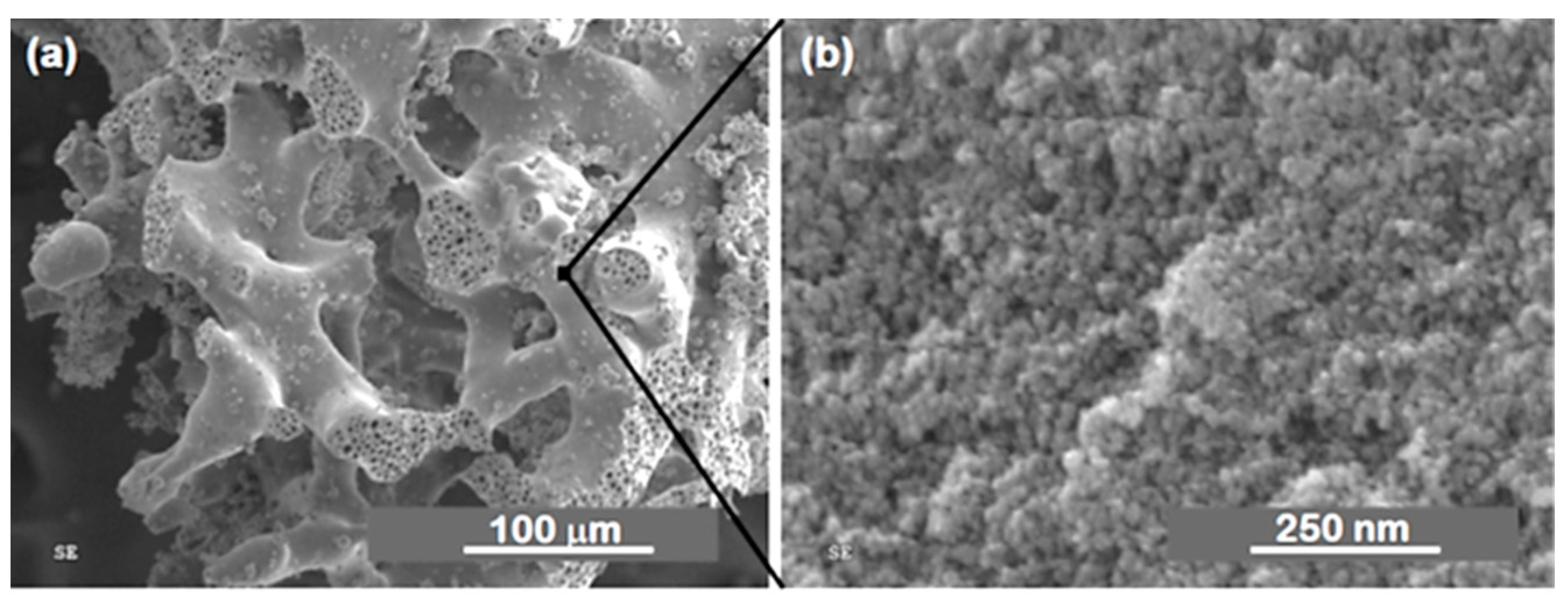 Materials 14 04247 g011