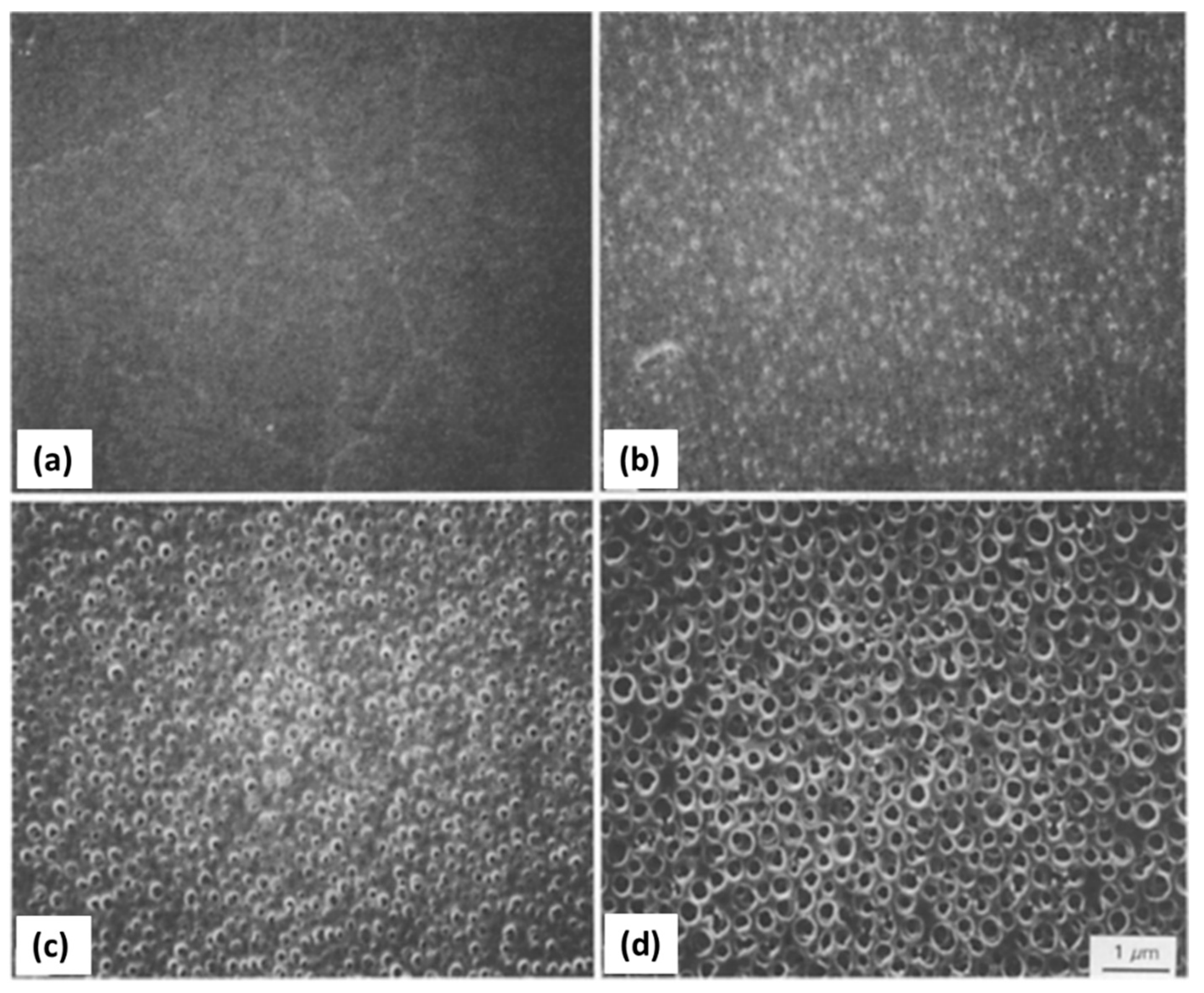 Materials 14 04247 g019