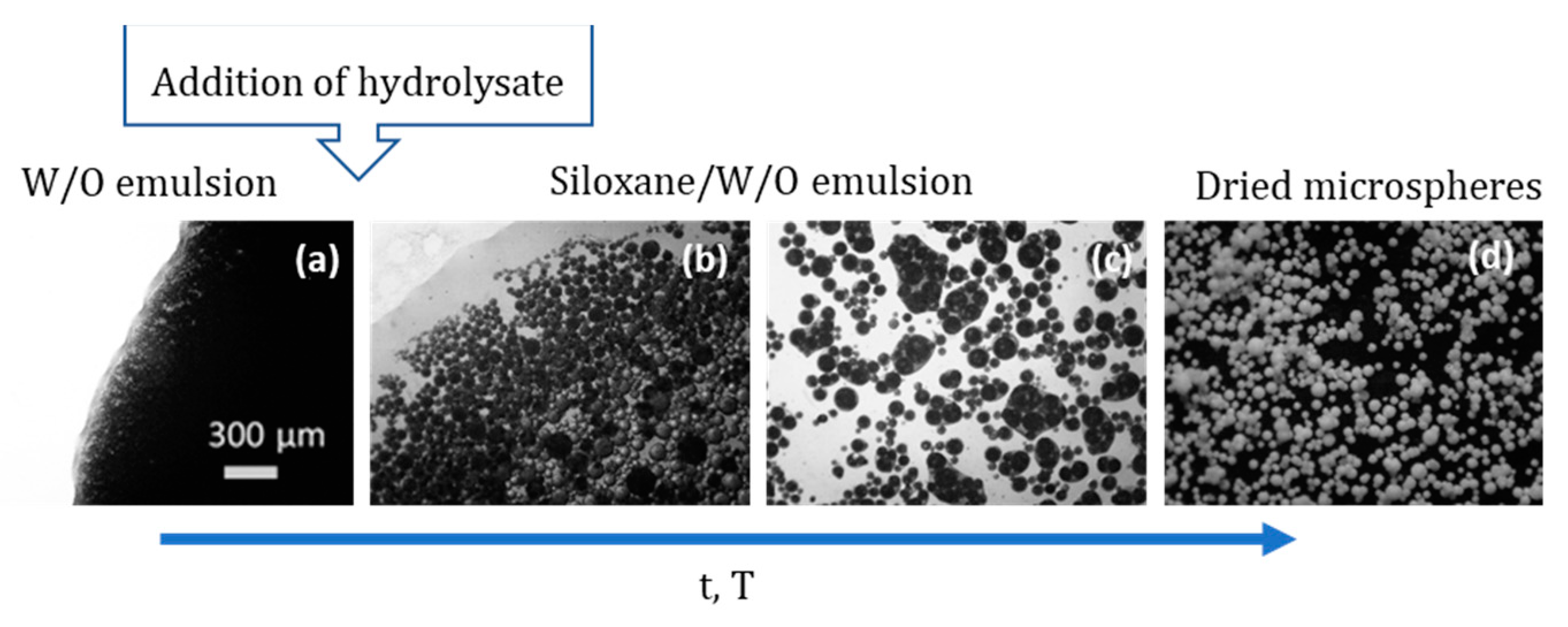 Materials 14 04247 g026
