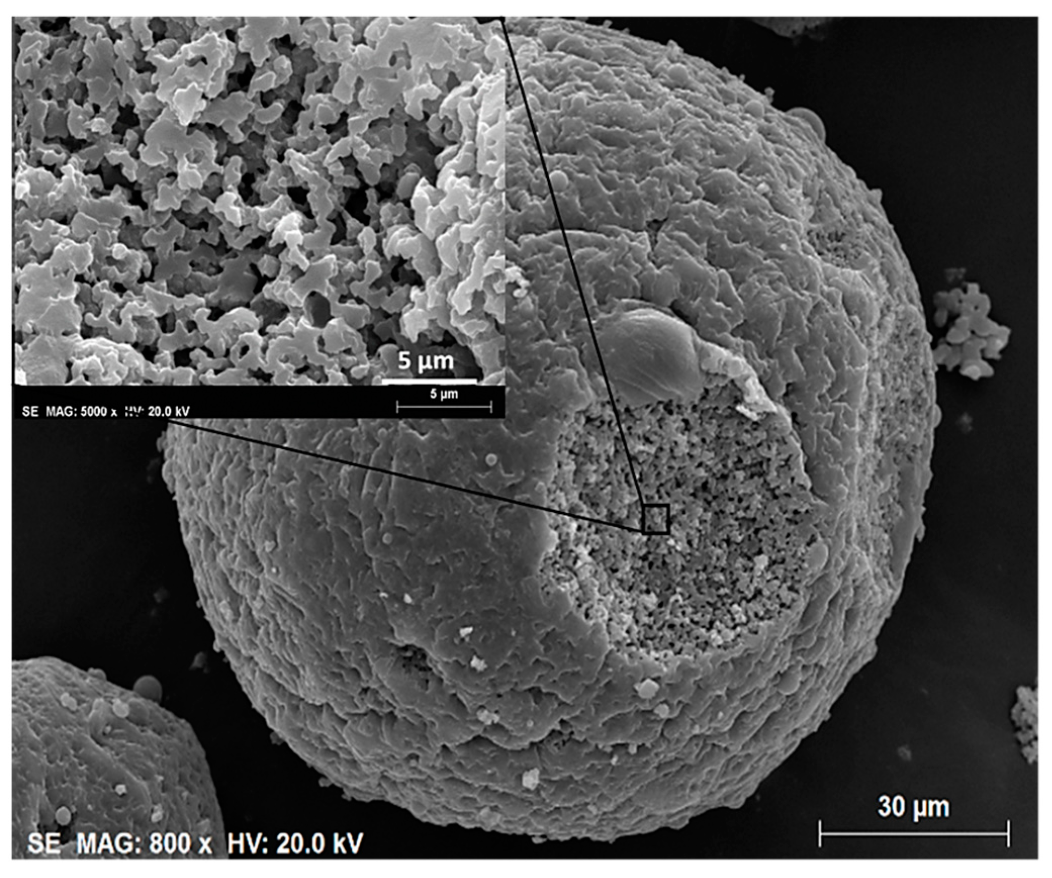 Materials 14 04247 g027