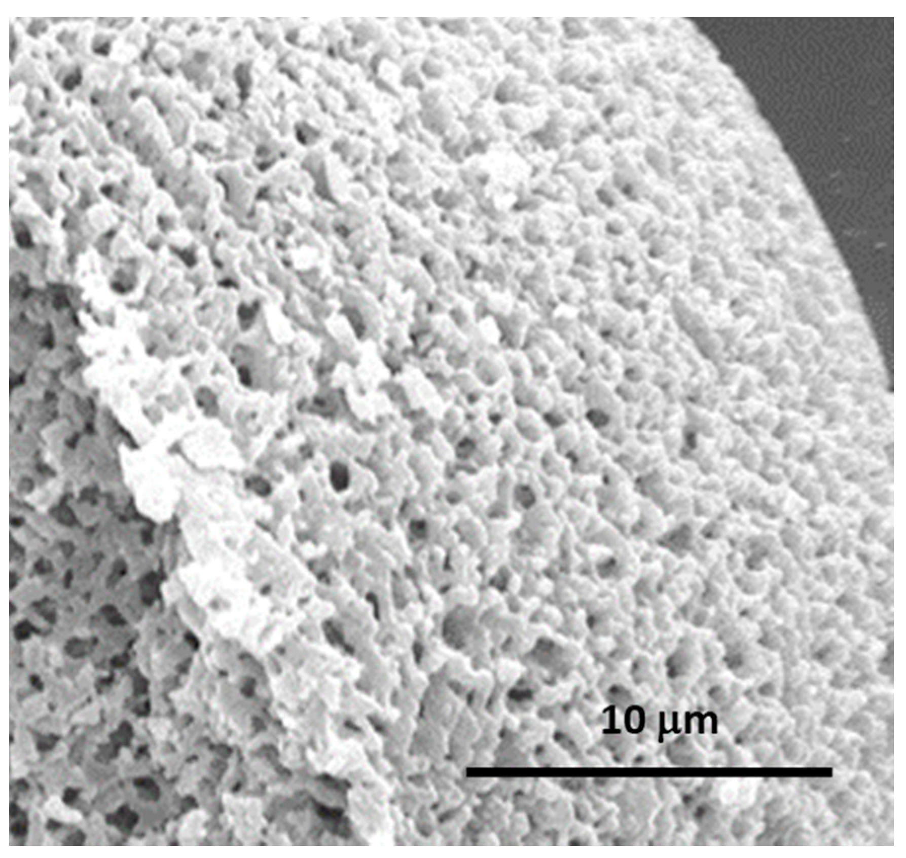 Materials 14 04247 g031