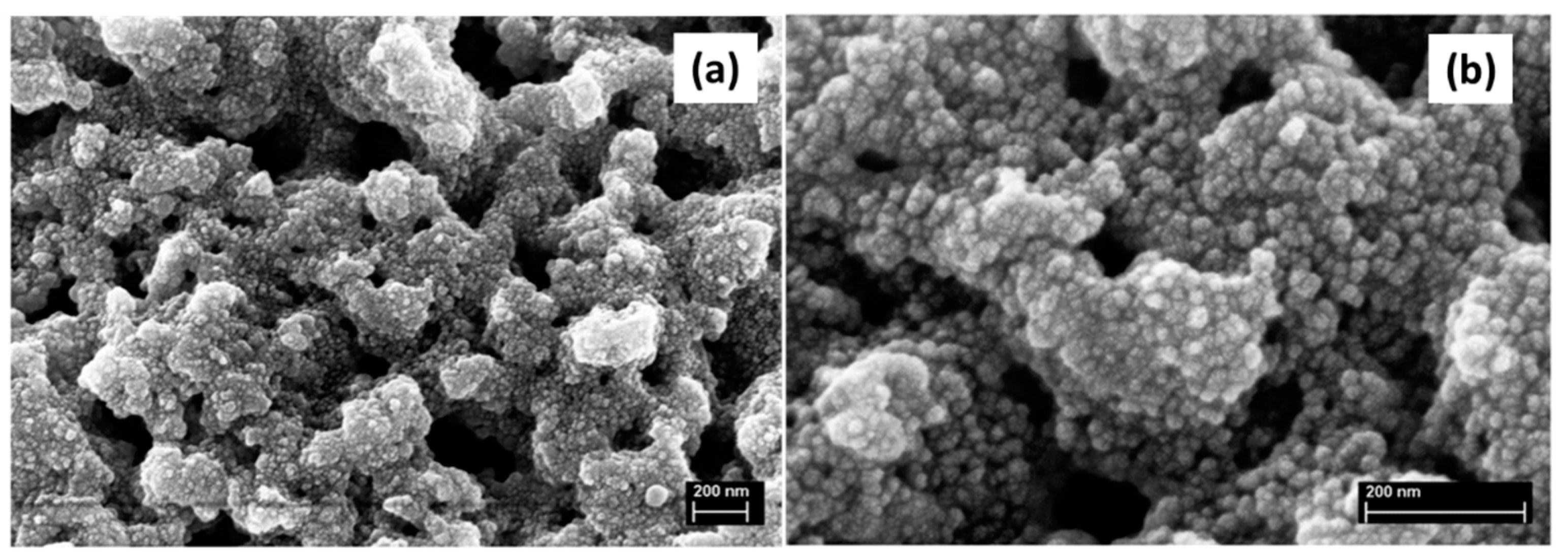 Materials 14 04247 g033