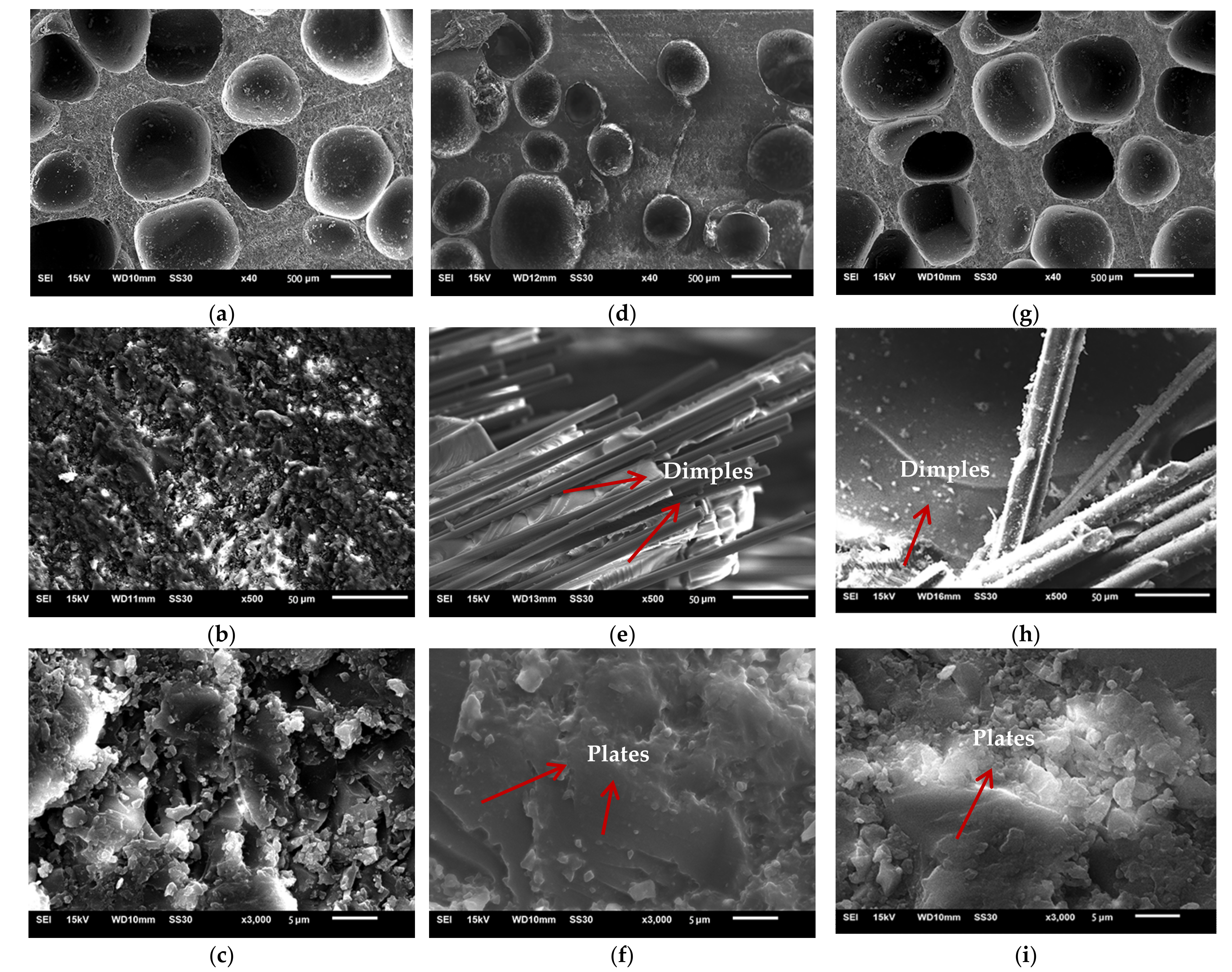 Materials 14 04273 g007