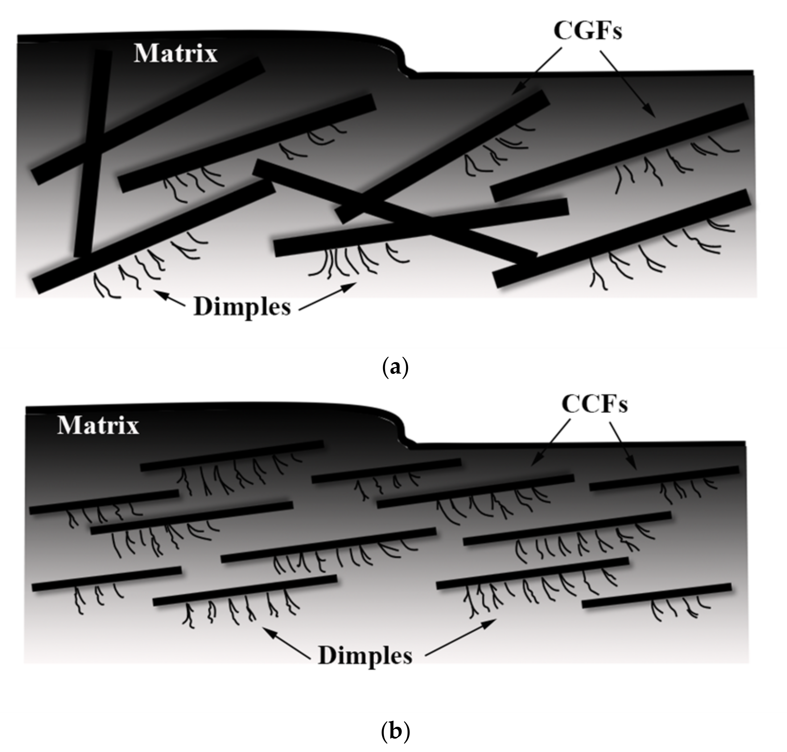 Materials 14 04273 g008