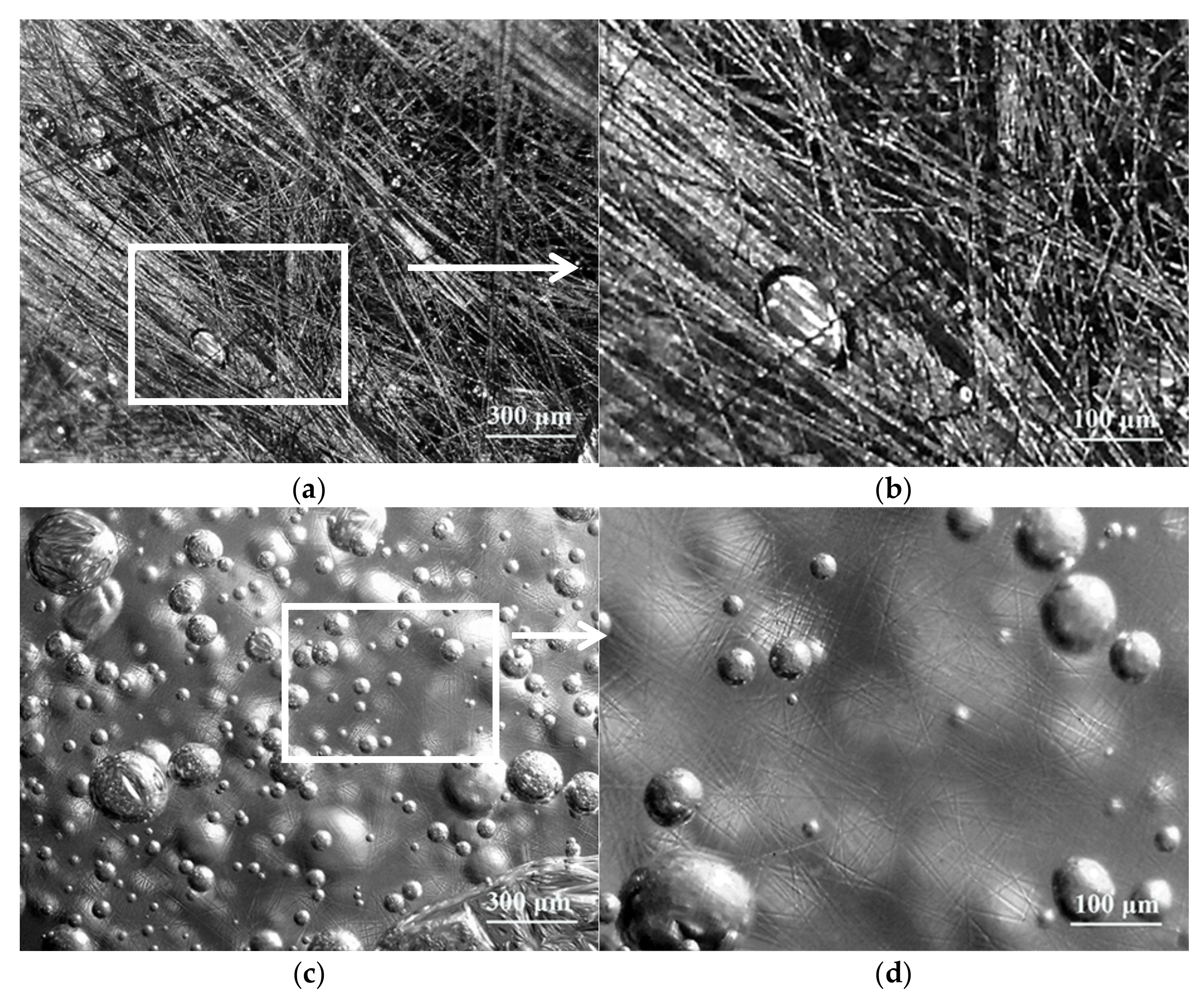 Materials 14 04273 g010