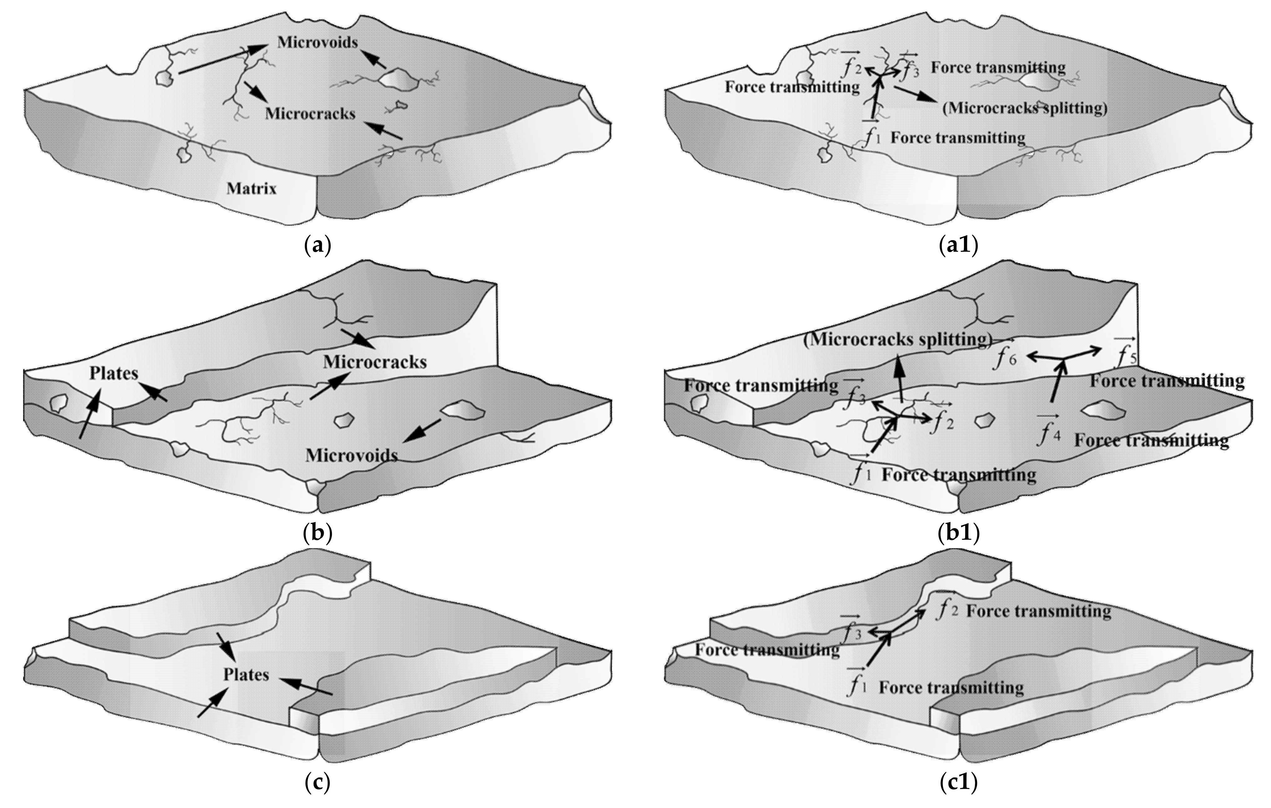 Materials 14 04273 g011