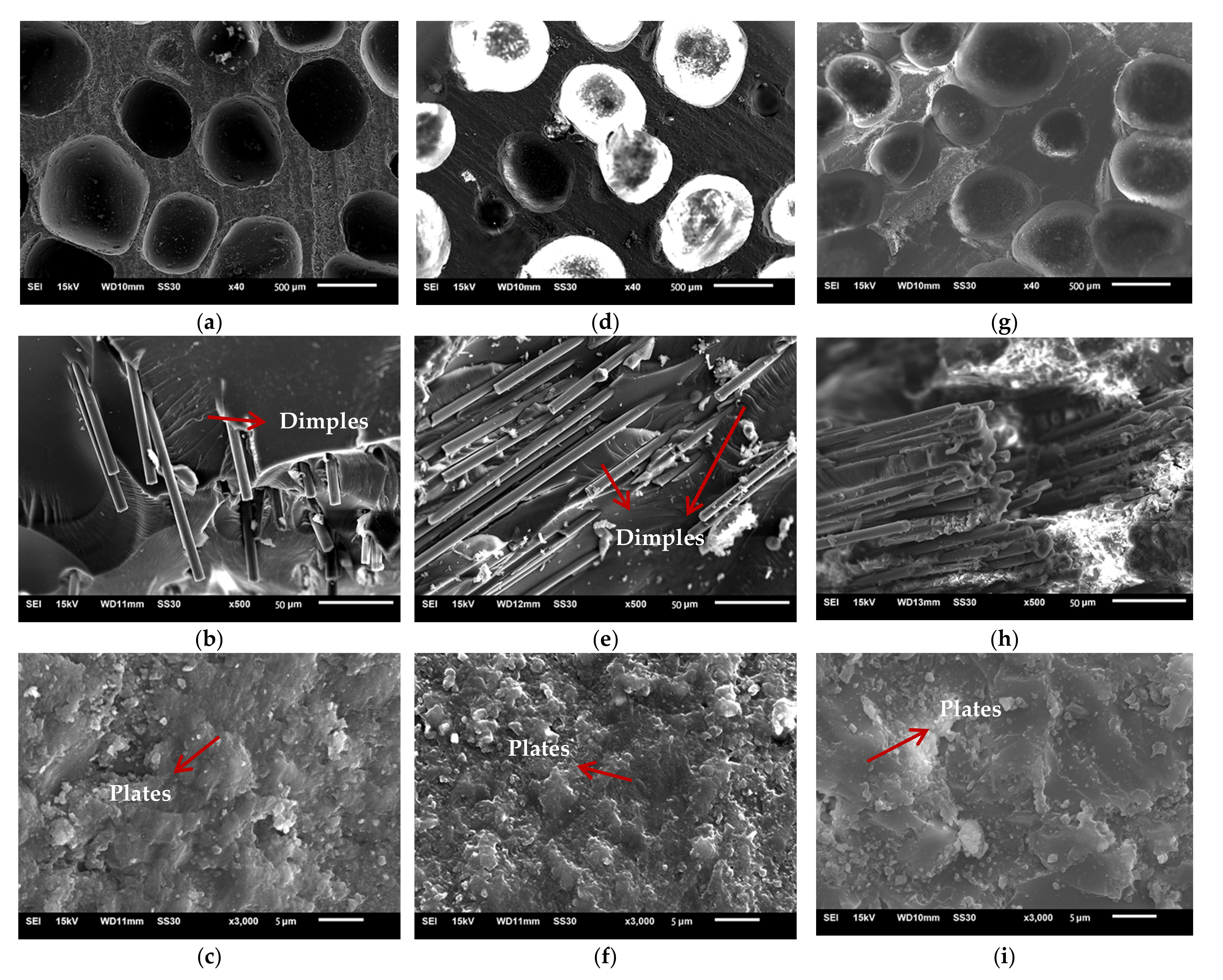 Materials 14 04273 g012