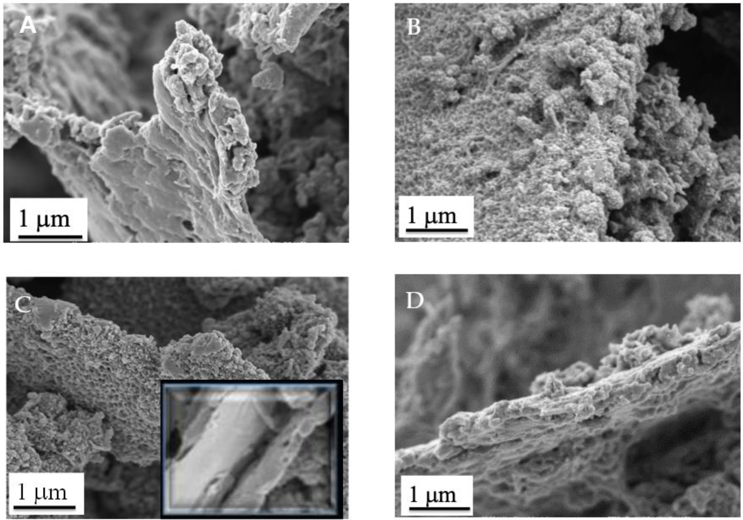 Materials 14 04275 g004