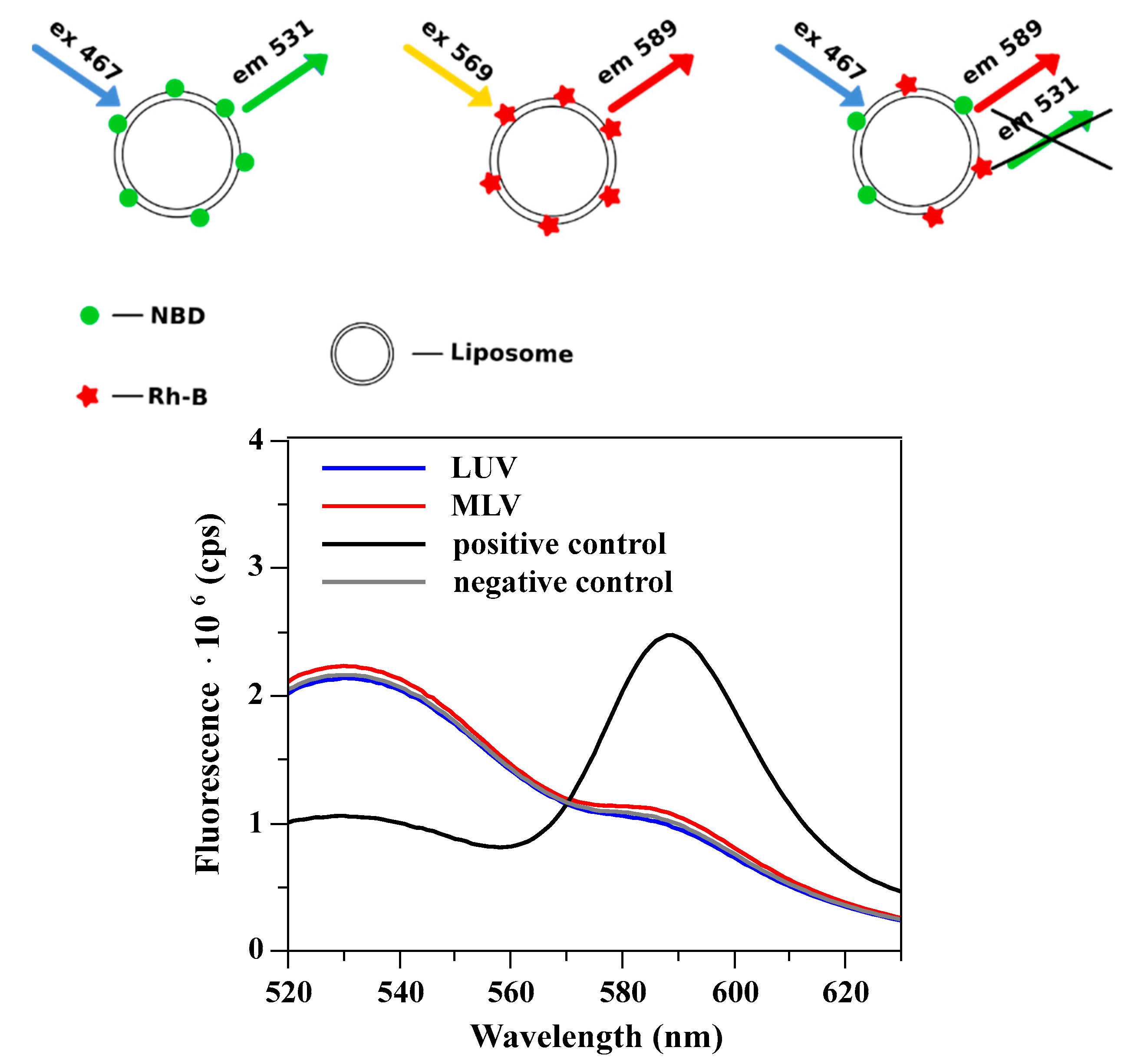 Materials 14 04278 g008