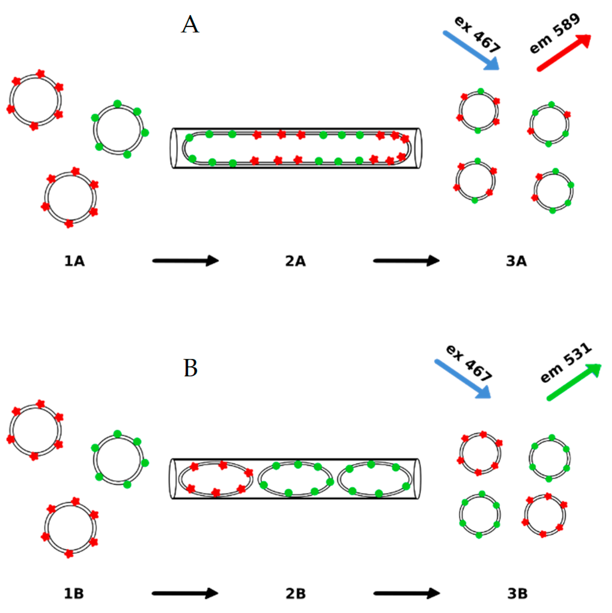 Materials 14 04278 g009