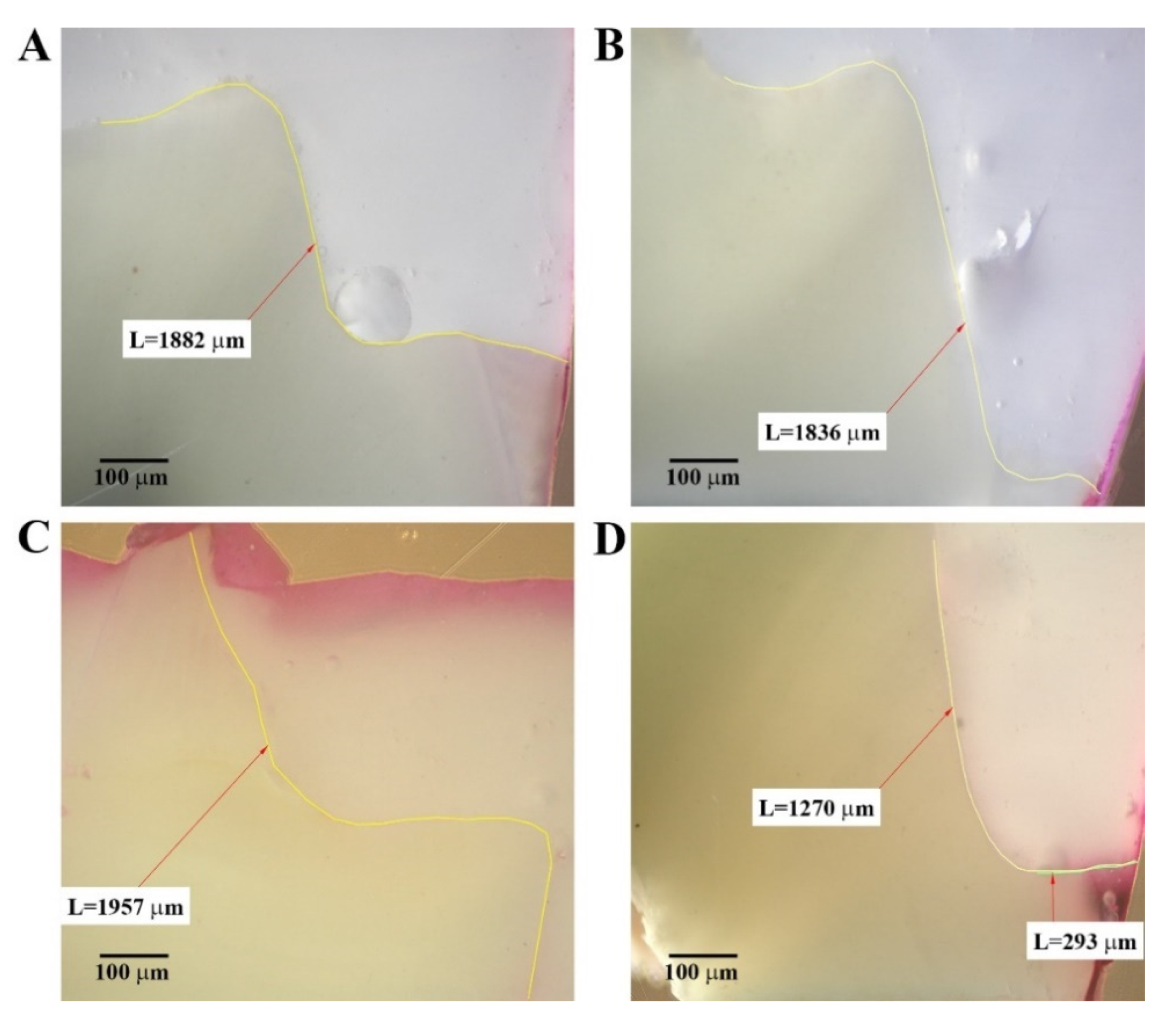 Materials 14 04299 g002