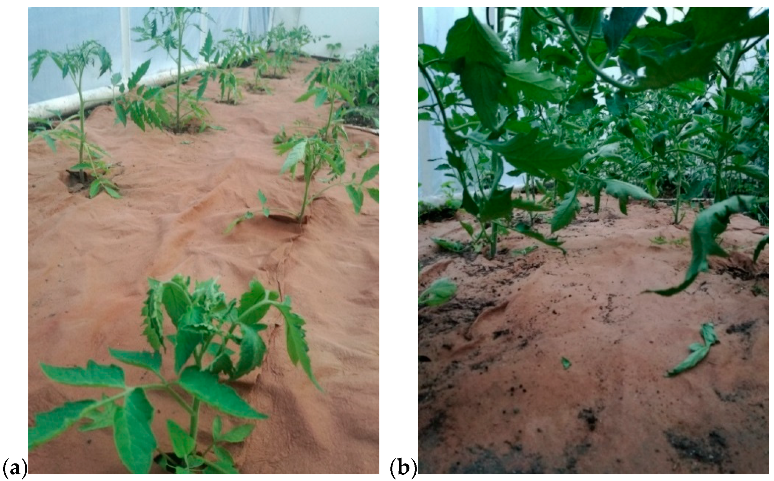 Materials 14 04335 g003