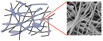 Materials 14 04335 i002