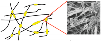 Materials 14 04335 i003