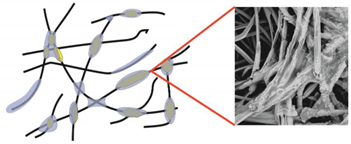 Materials 14 04335 i004