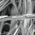 Materials 14 04335 i006