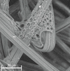 Materials 14 04335 i010