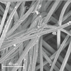 Materials 14 04335 i012