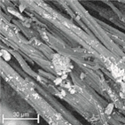 Materials 14 04335 i019