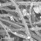 Materials 14 04335 i021