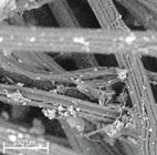 Materials 14 04335 i022