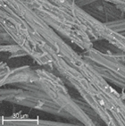 Materials 14 04335 i025