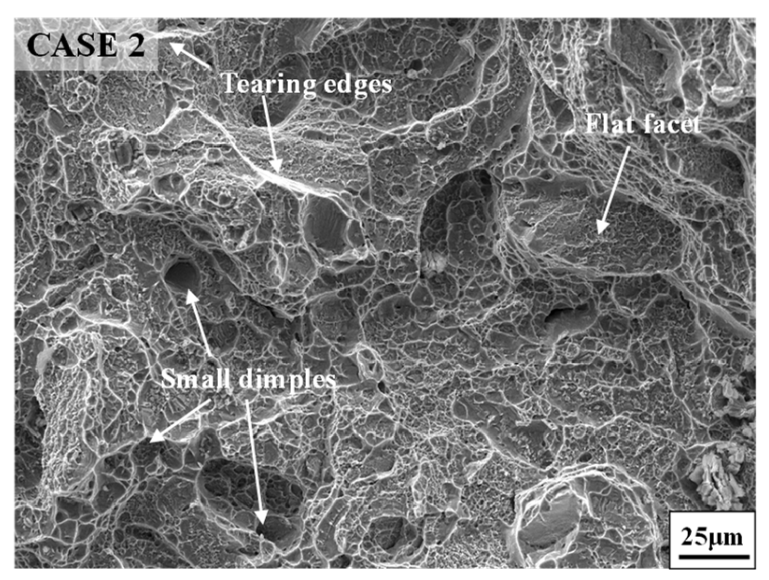 Materials 14 04339 g012