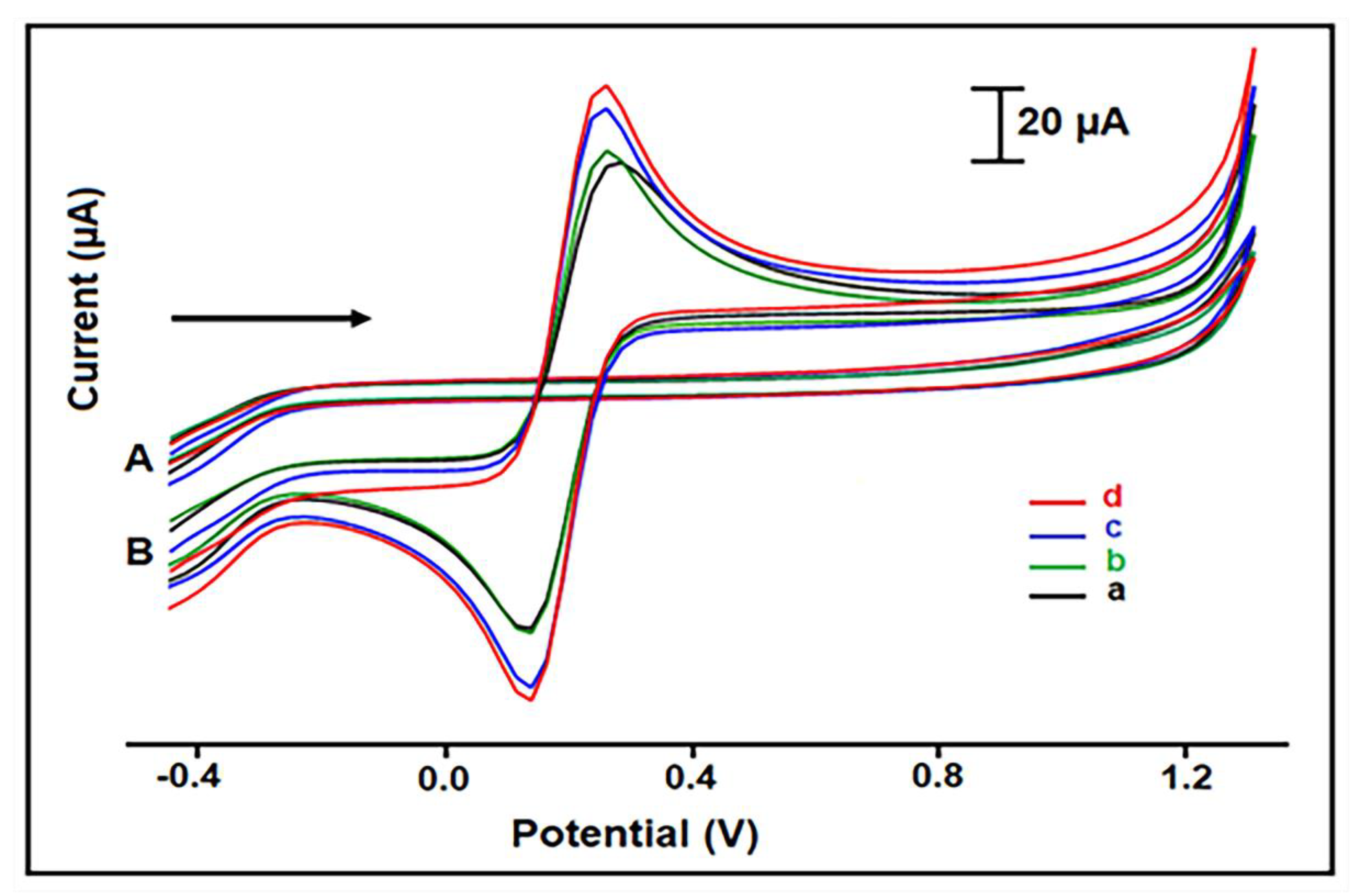 Materials 14 04344 g002