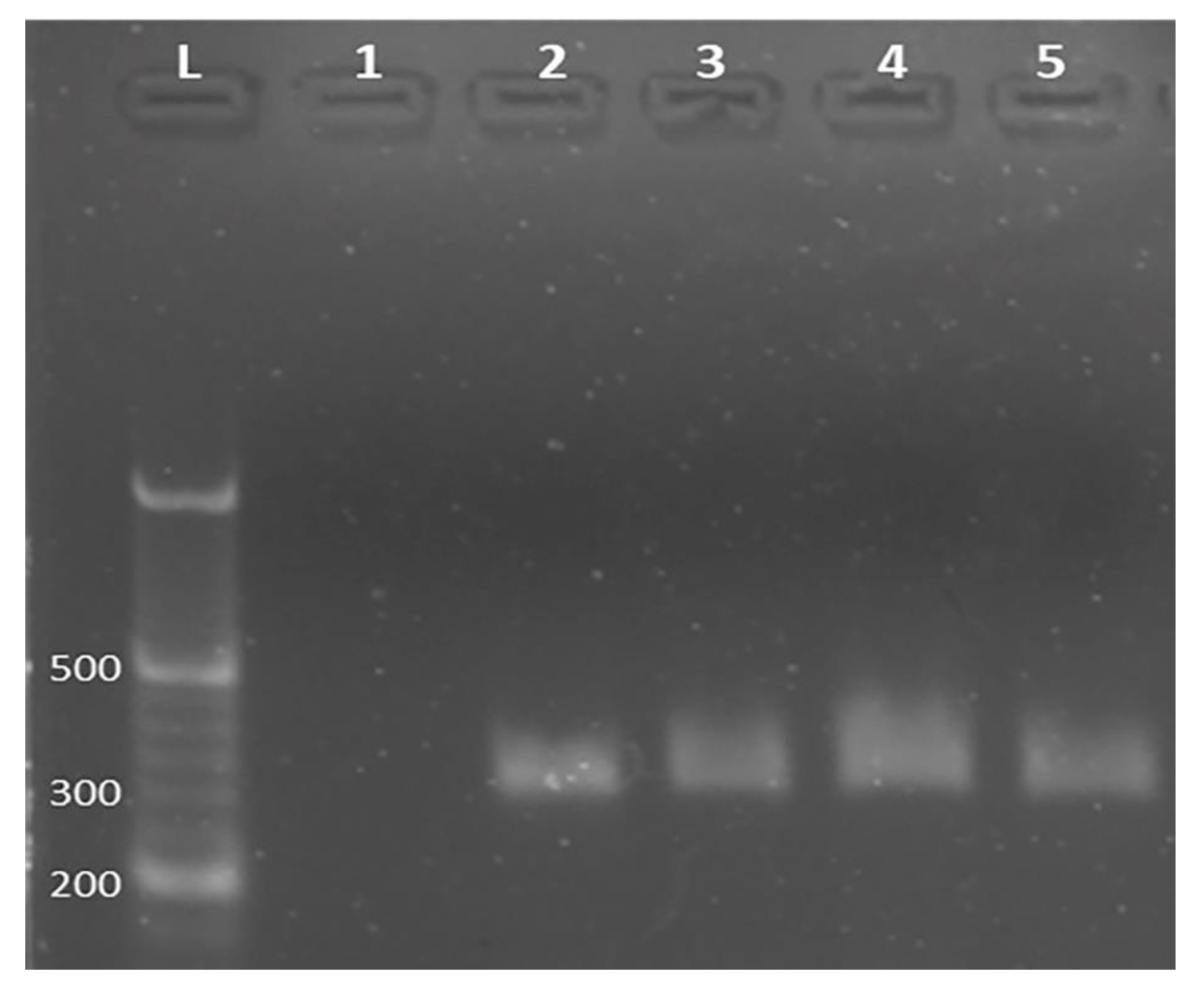 Materials 14 04344 g007