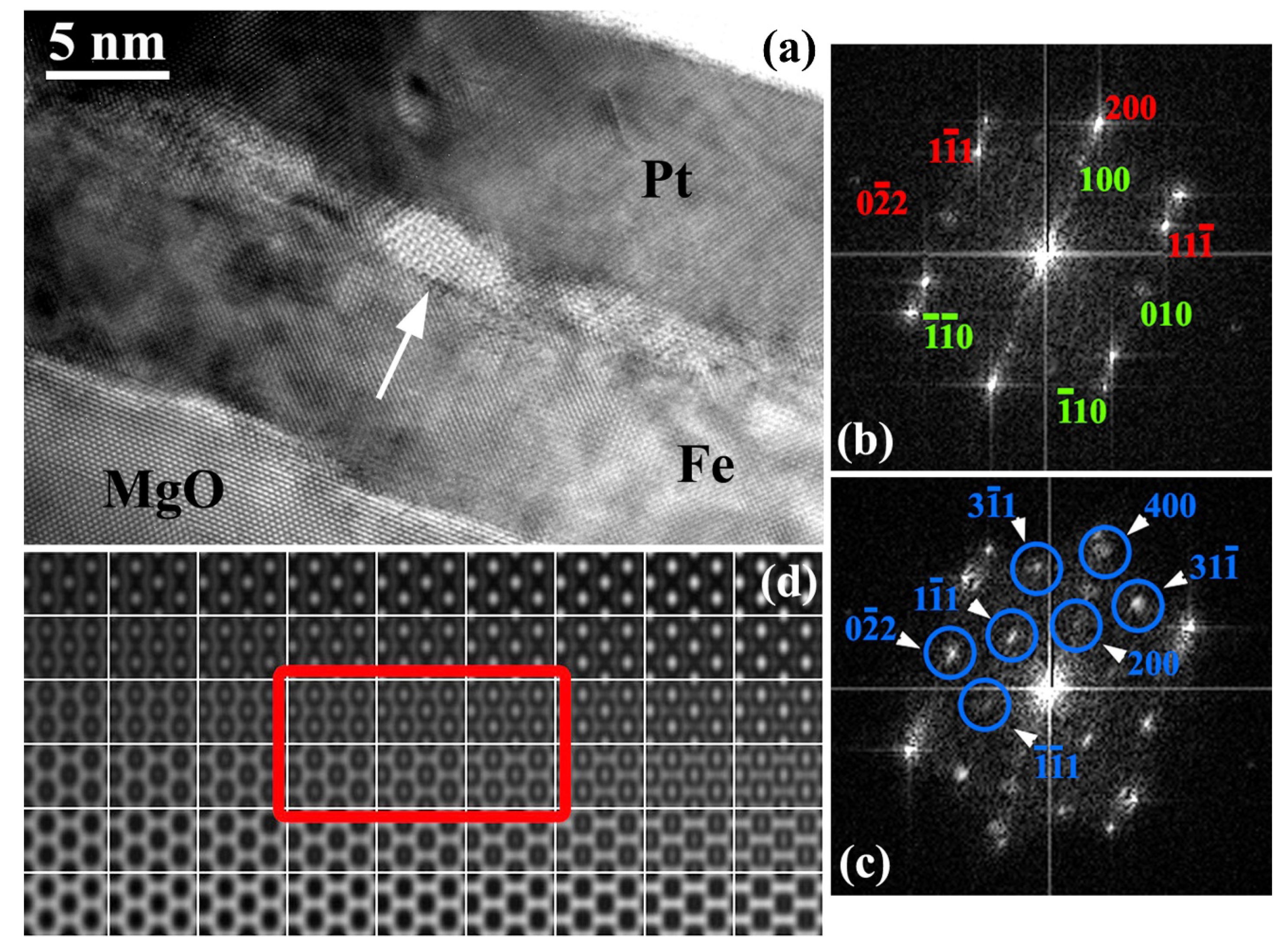 Materials 14 04354 g002
