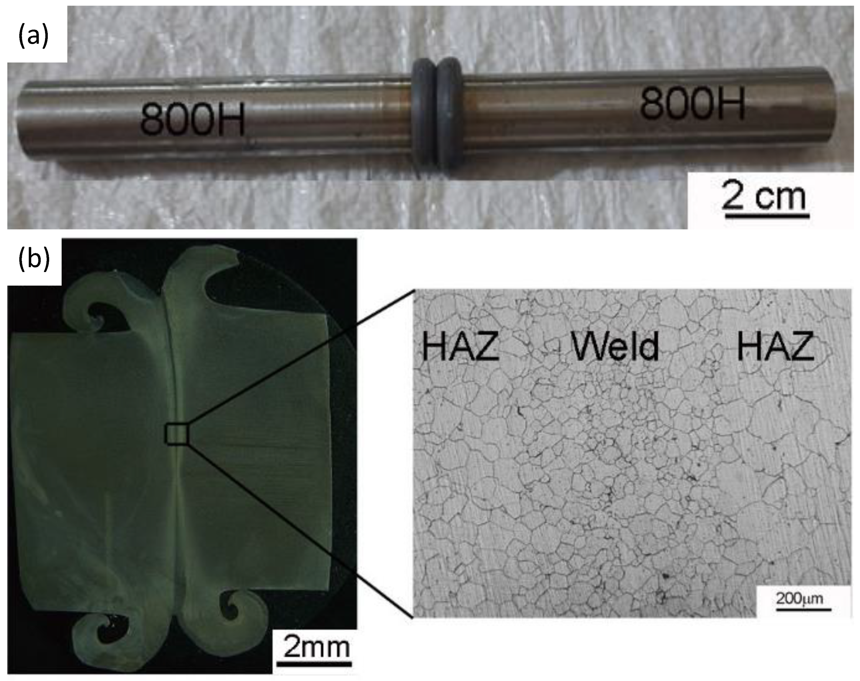 Materials 14 04366 g003