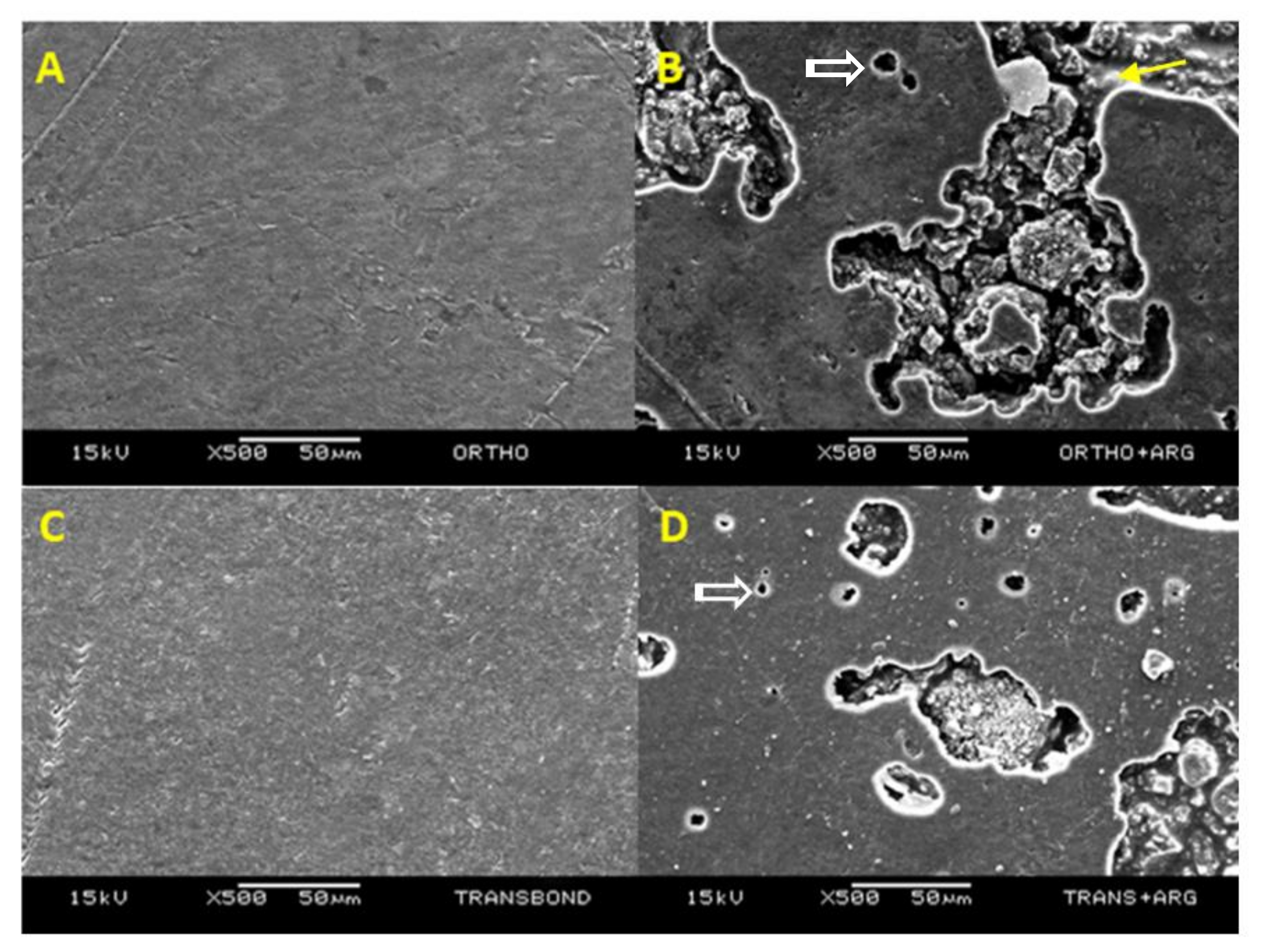 Materials 14 04391 g002