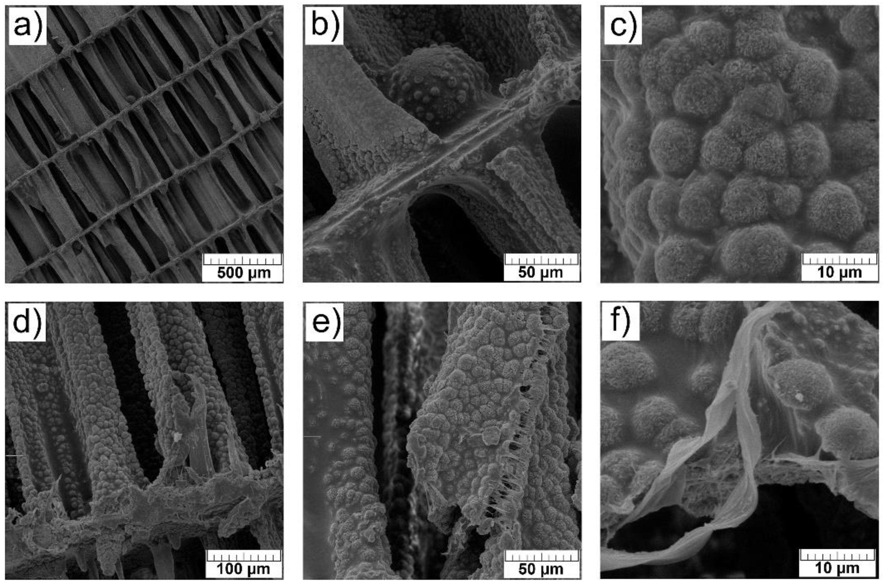 Materials 14 04403 g005