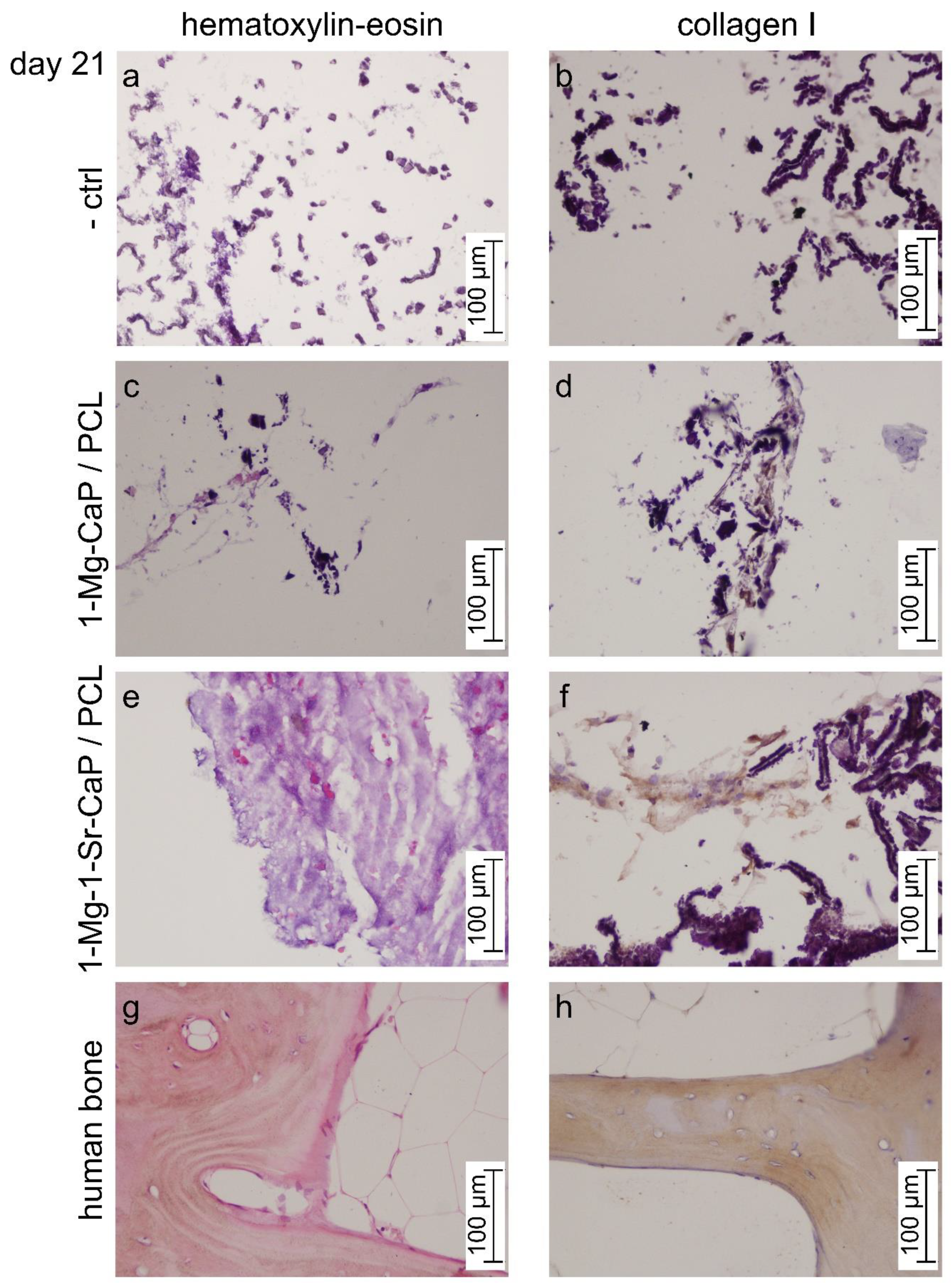 Materials 14 04403 g008