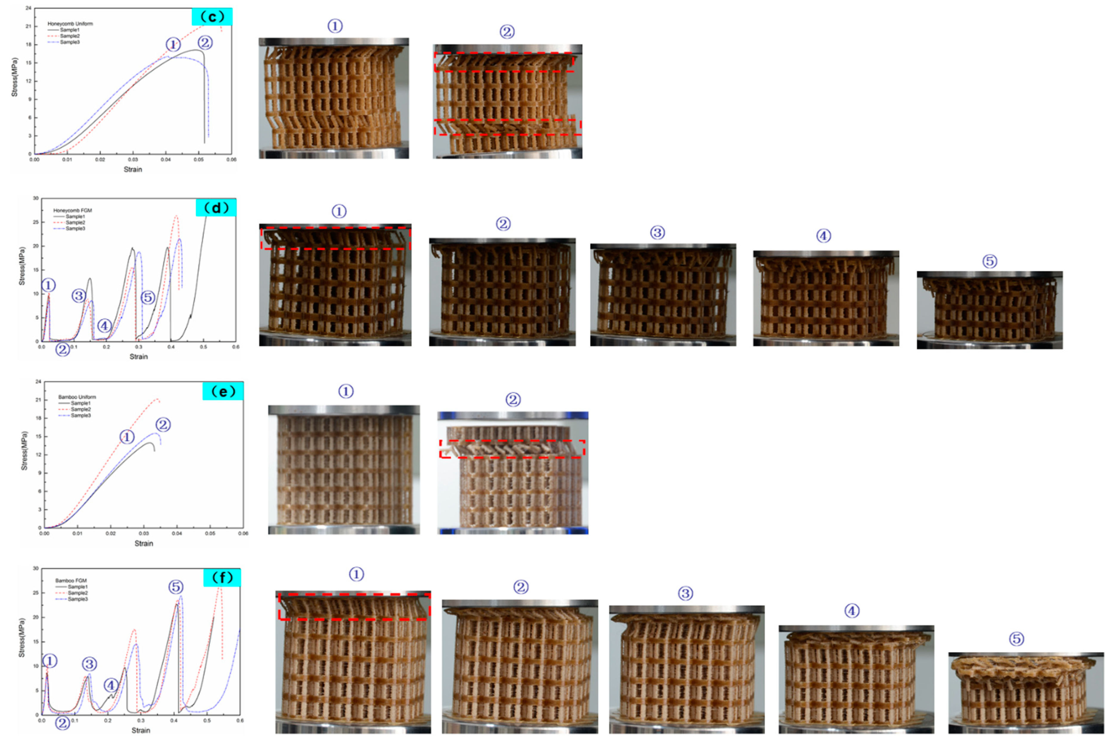 Materials 14 04410 g006b Materials 14 04410 g006b