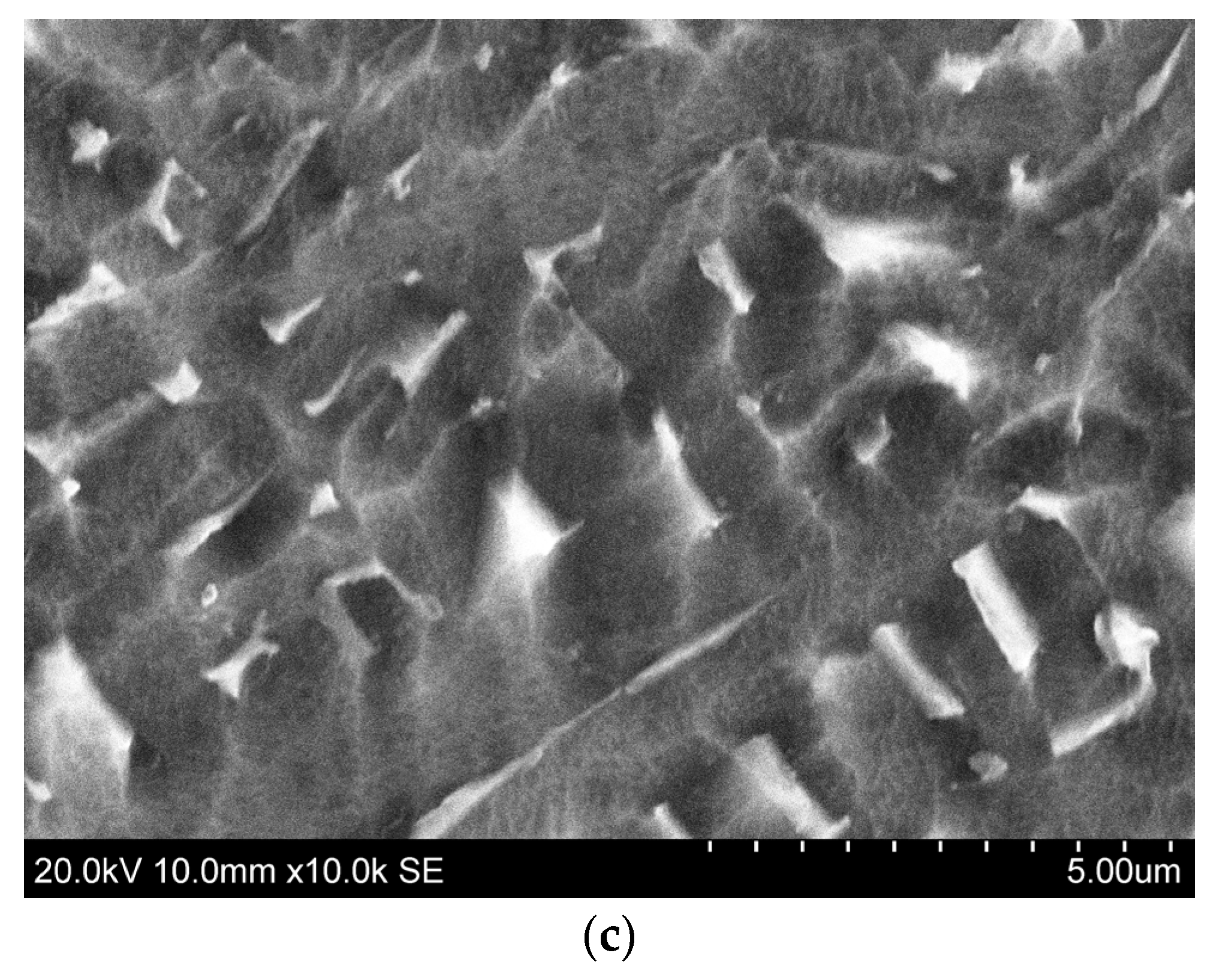 Materials 14 04415 g016b Materials 14 04415 g016b