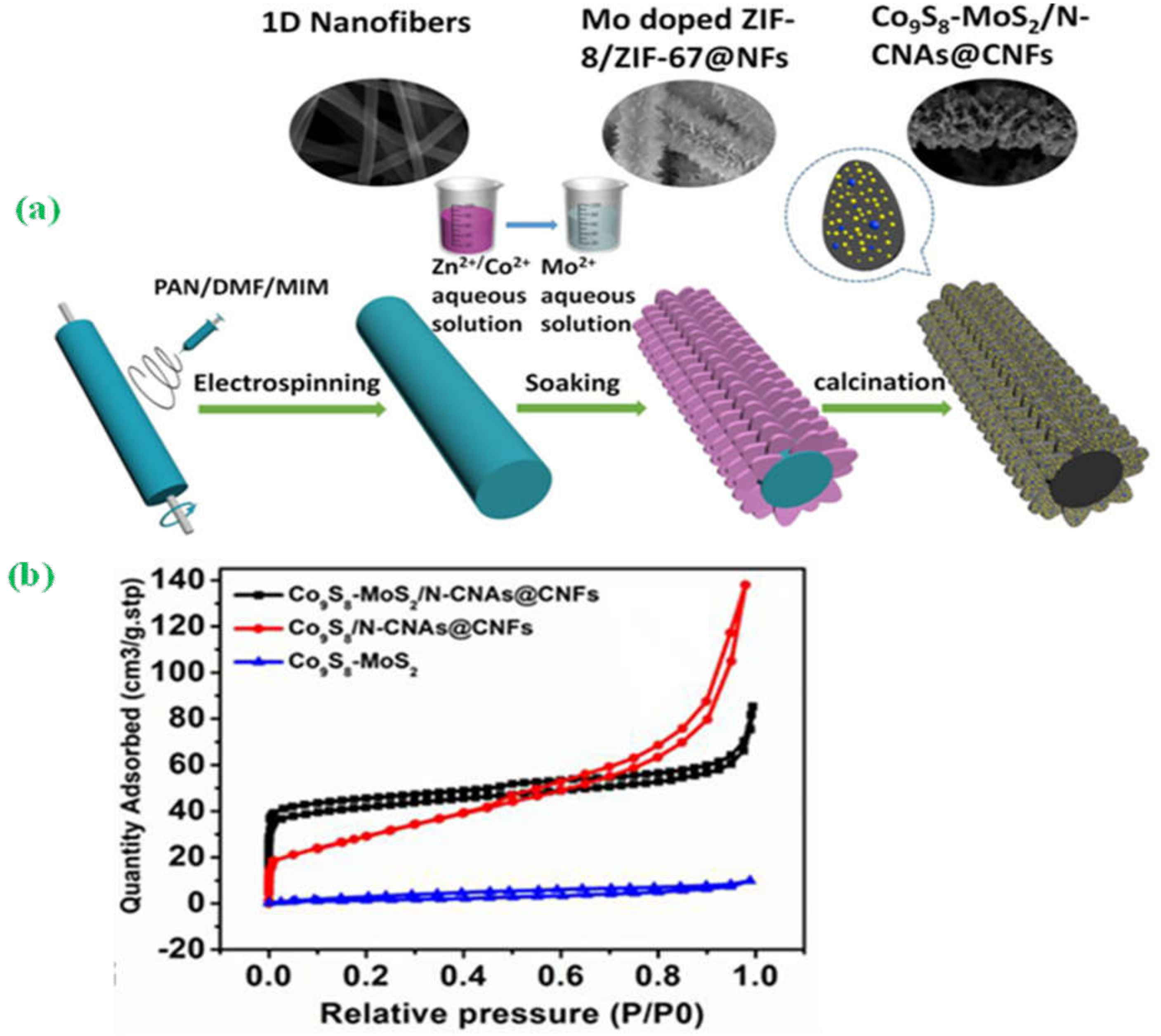 Materials 14 04420 g001