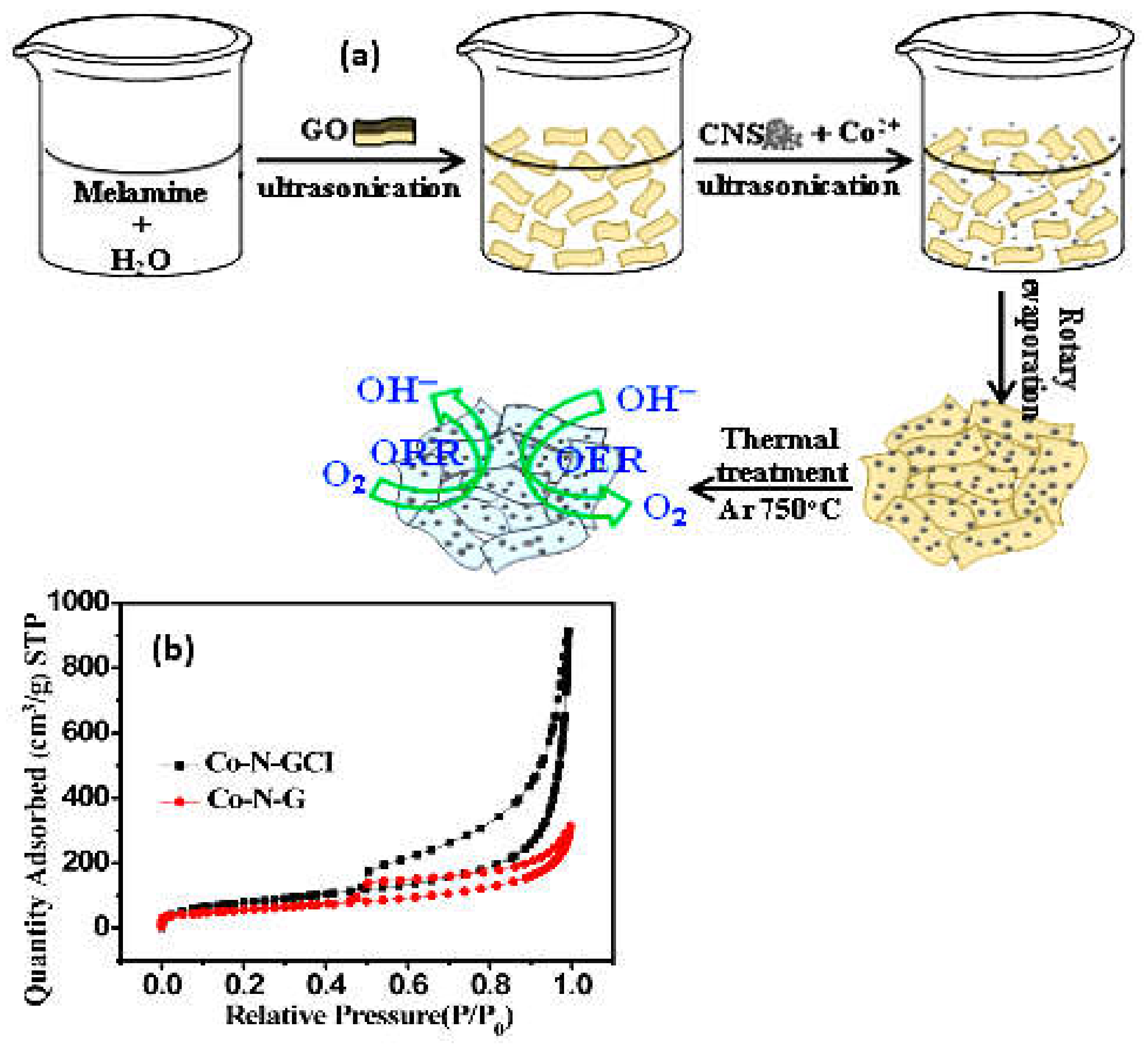 Materials 14 04420 g002
