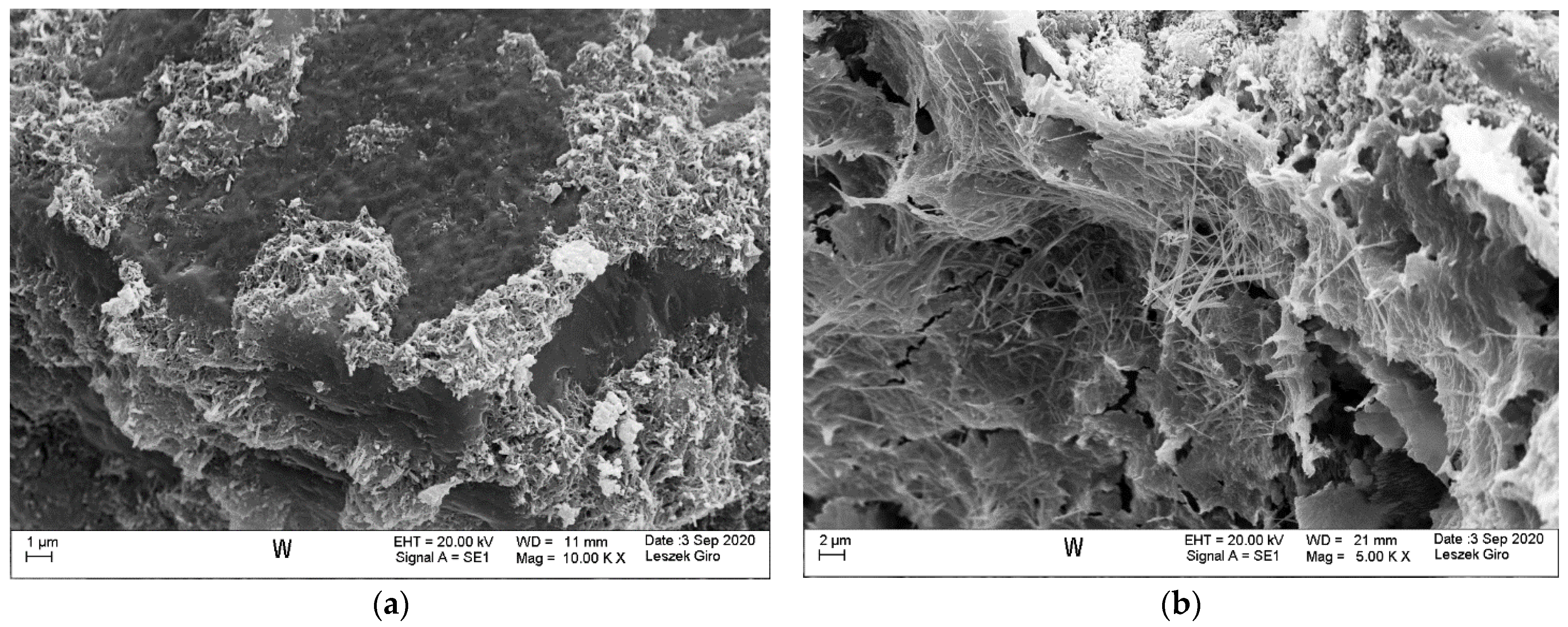 Materials 14 04430 g007