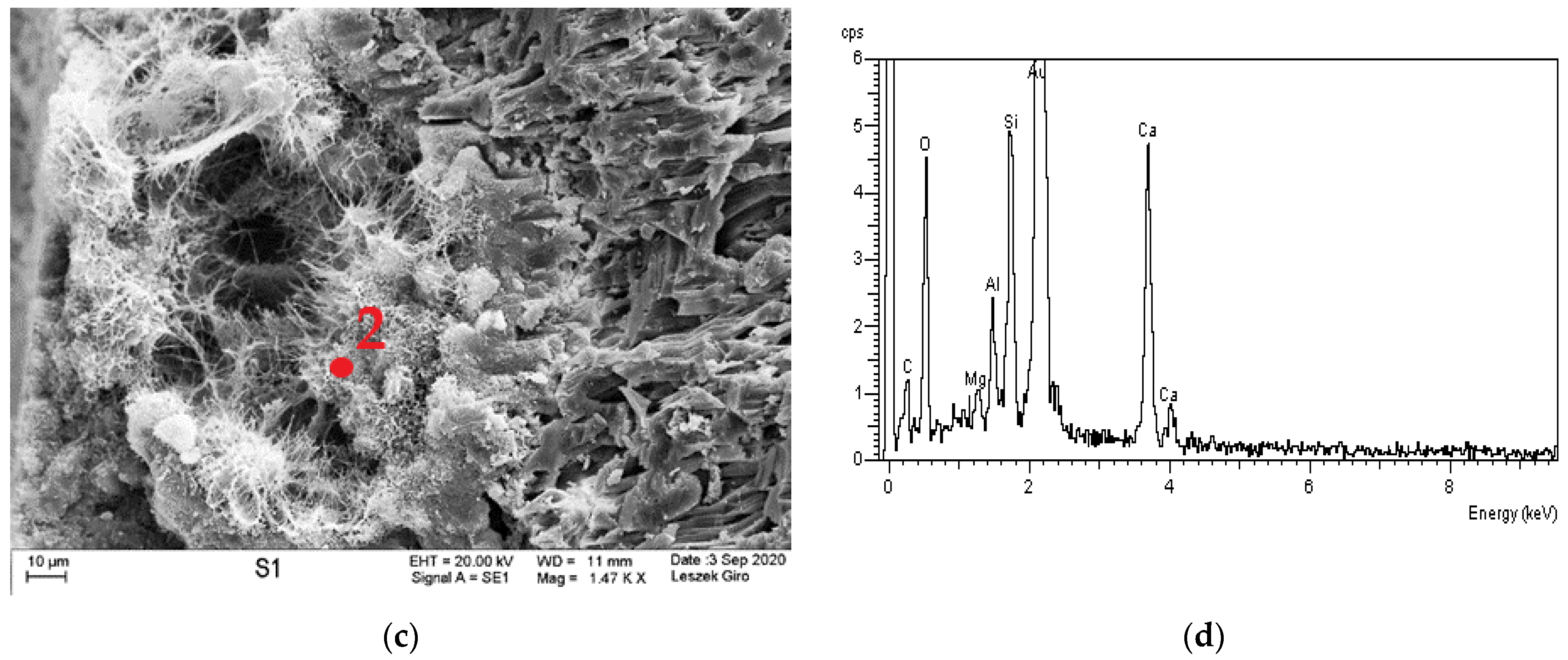 Materials 14 04430 g009b