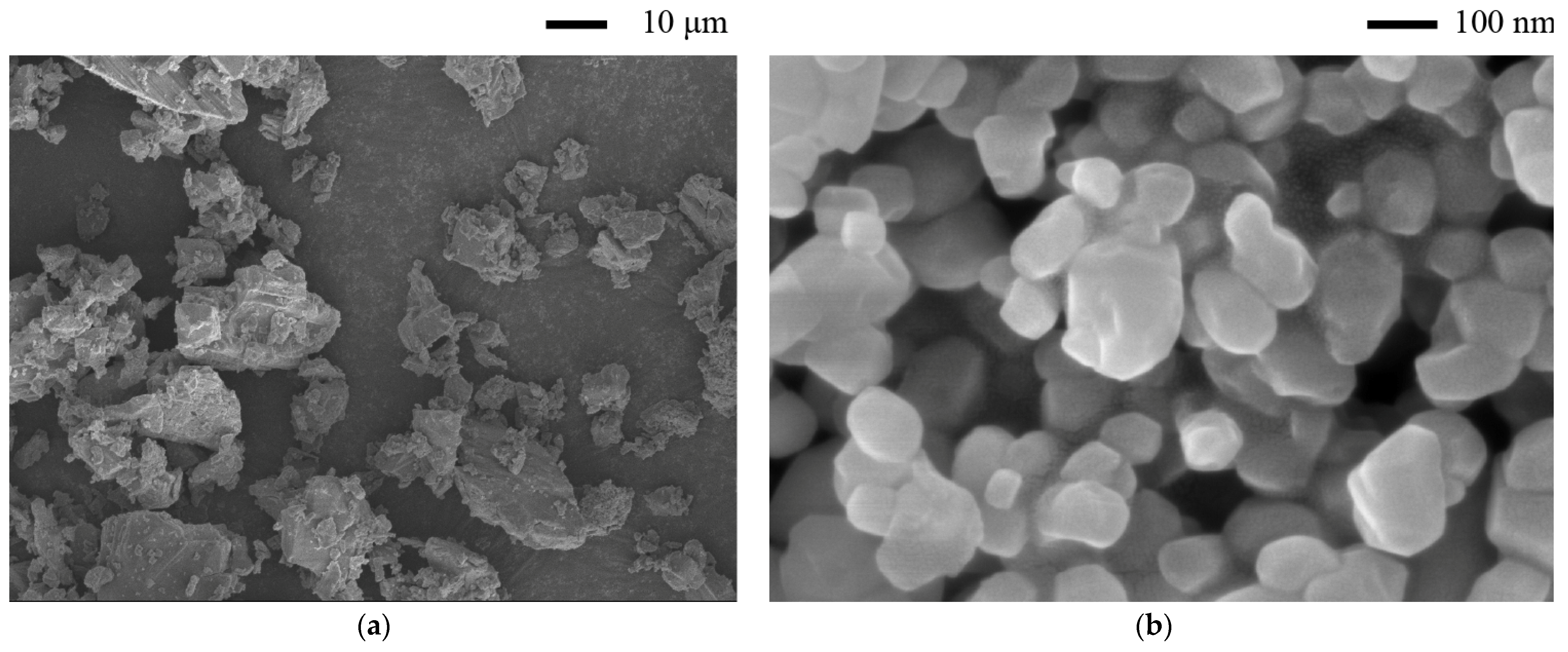 Materials 14 04438 g001