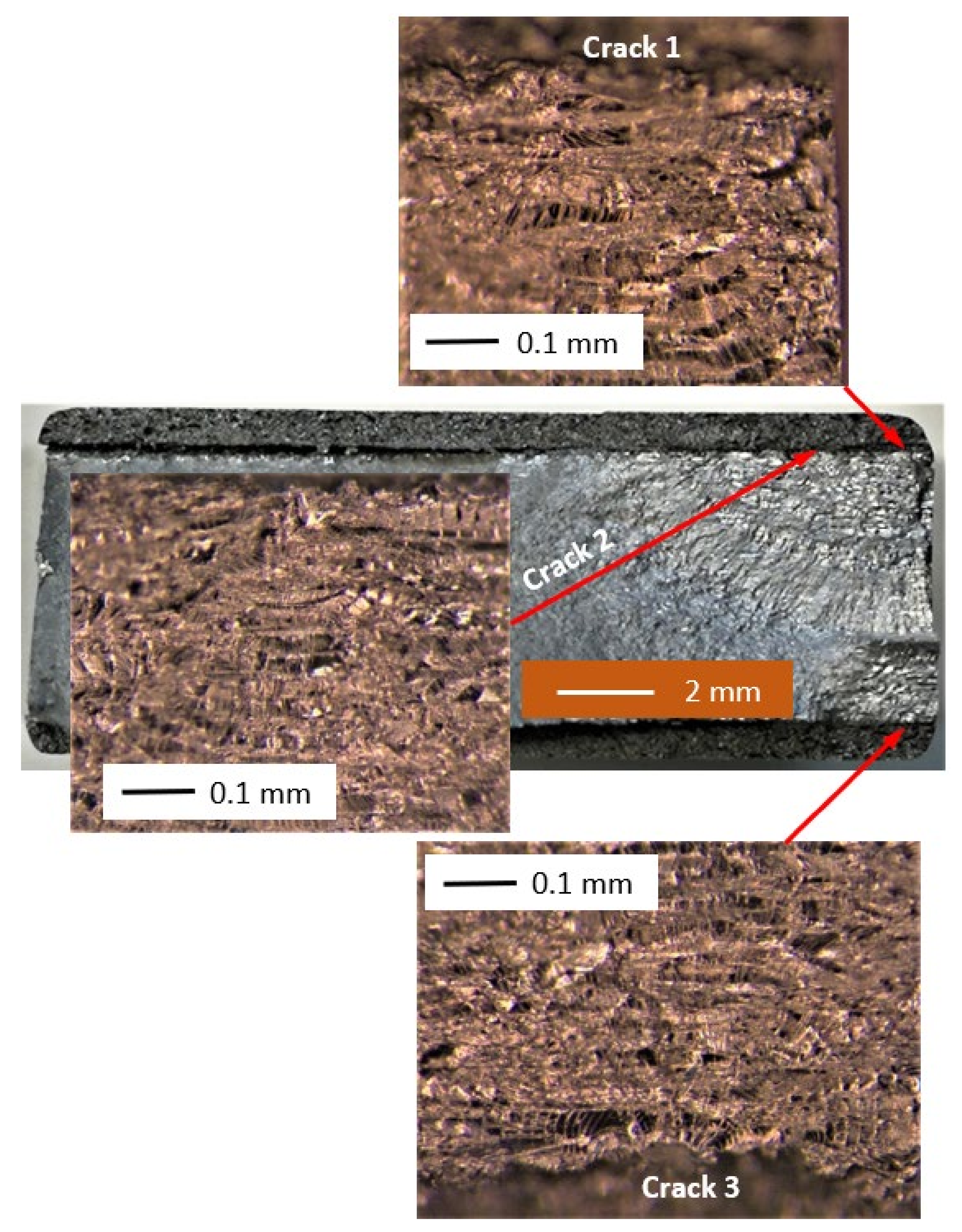 Materials 14 04451 g003