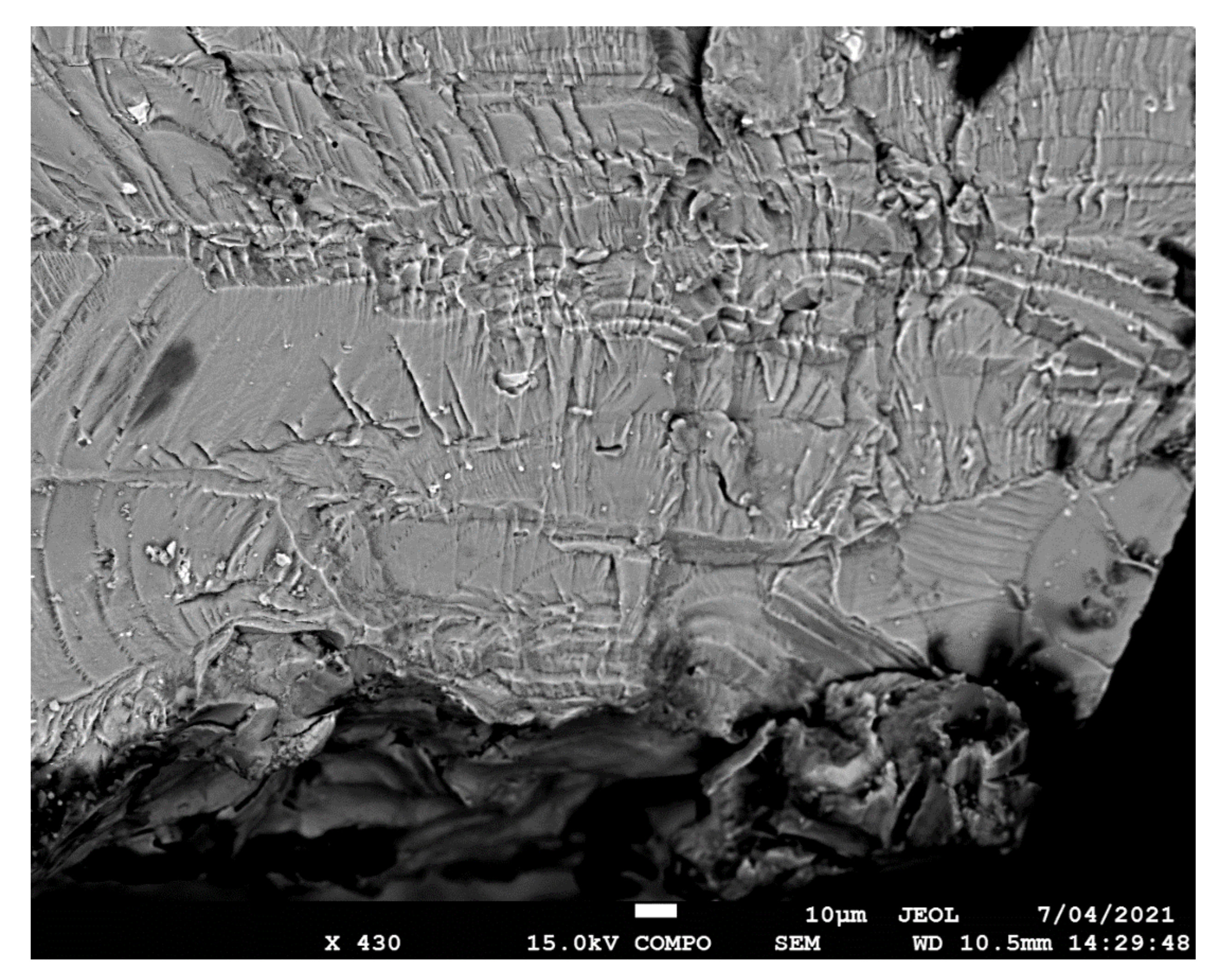 Materials 14 04451 g007