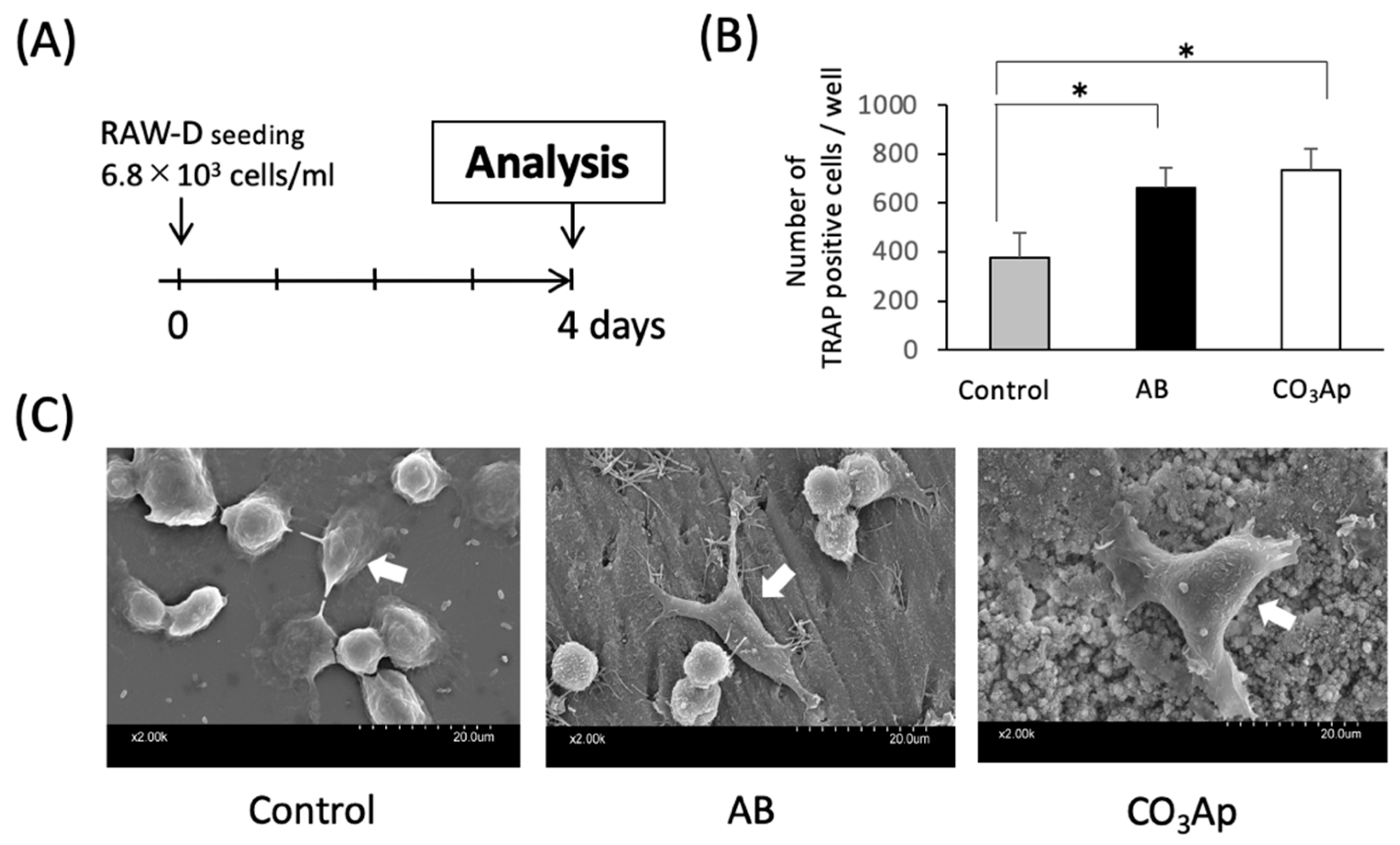 Materials 14 04457 g001