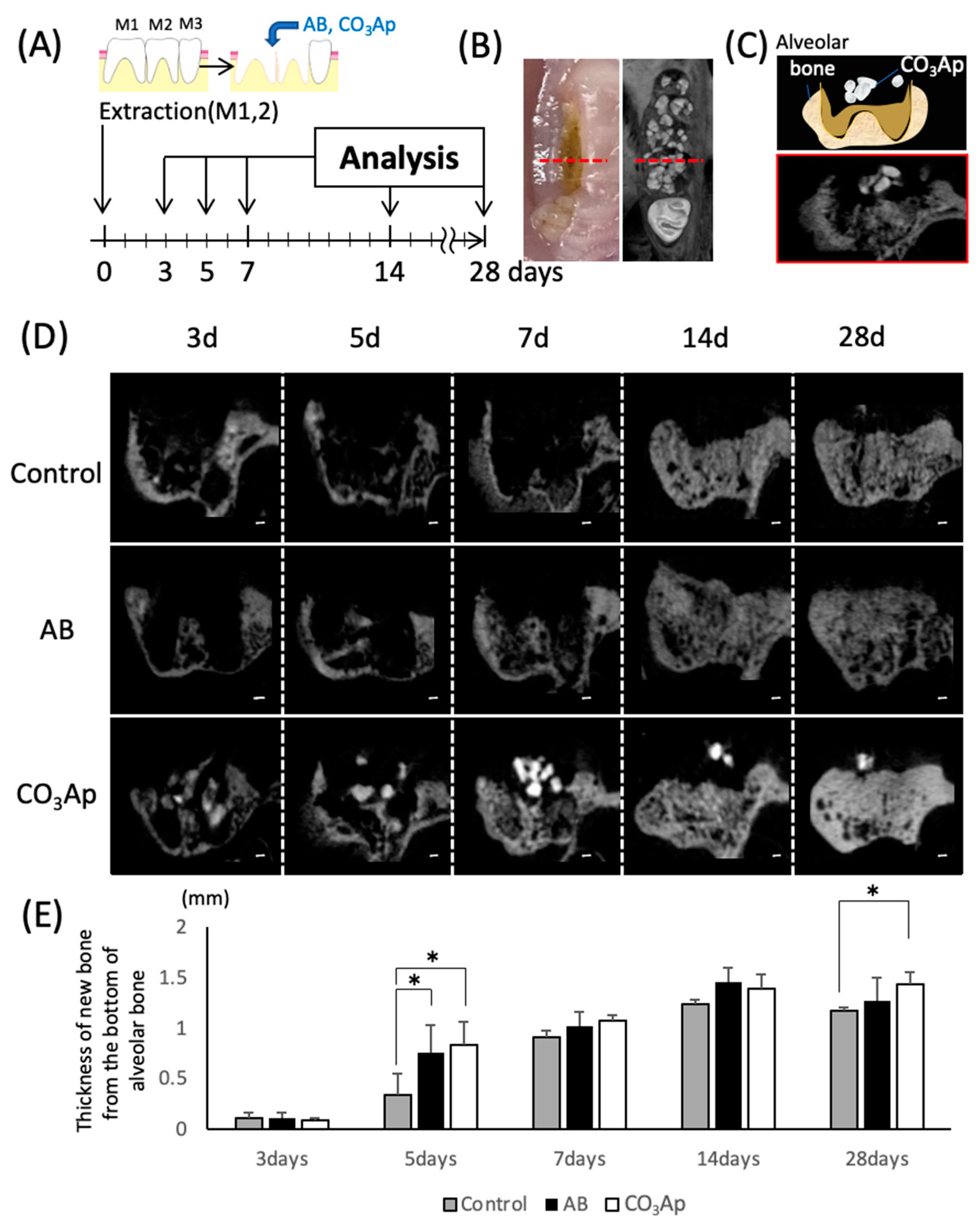 Materials 14 04457 g002