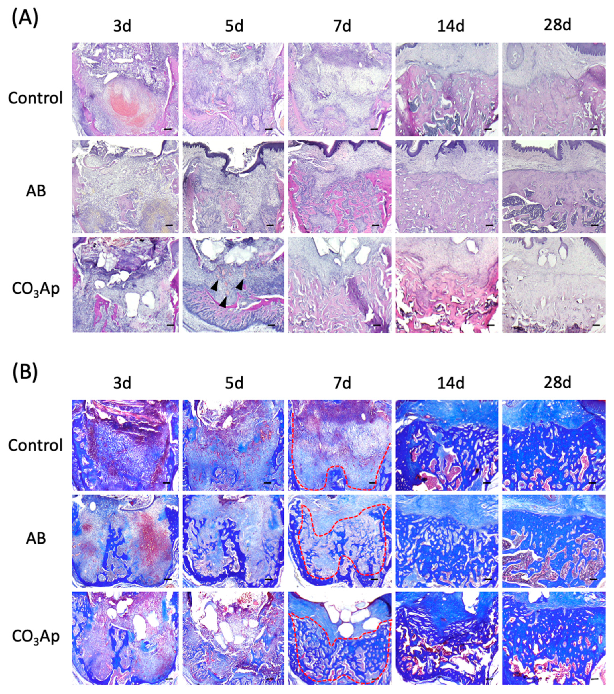 Materials 14 04457 g003