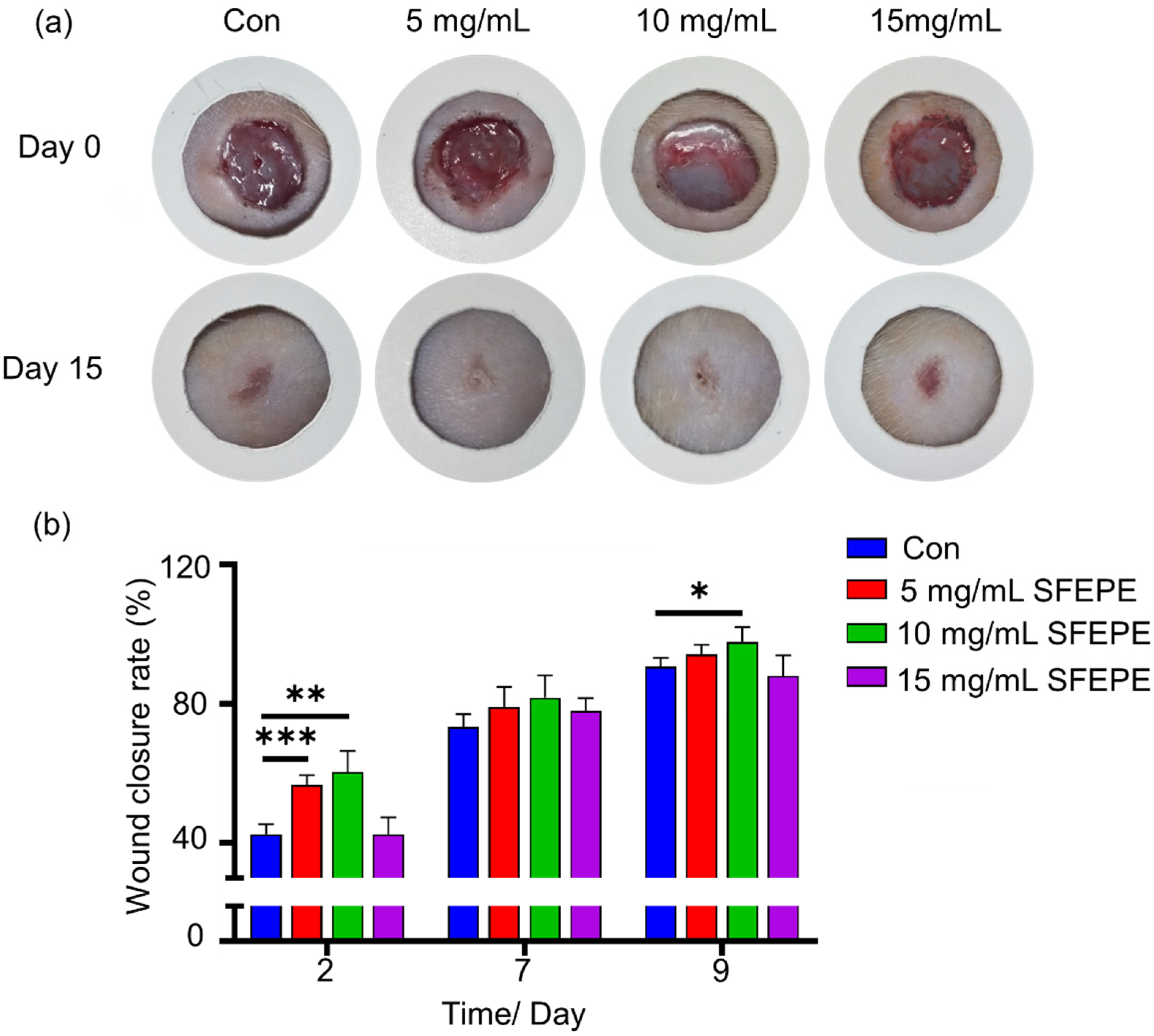 Materials 14 04458 g004