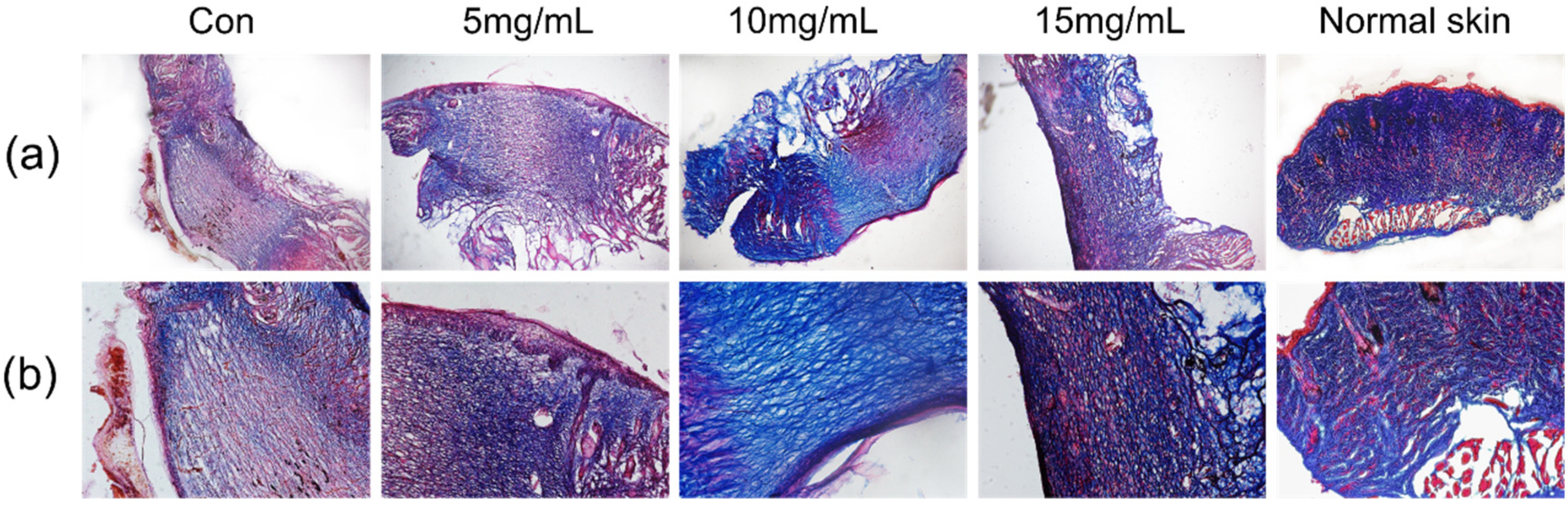 Materials 14 04458 g005